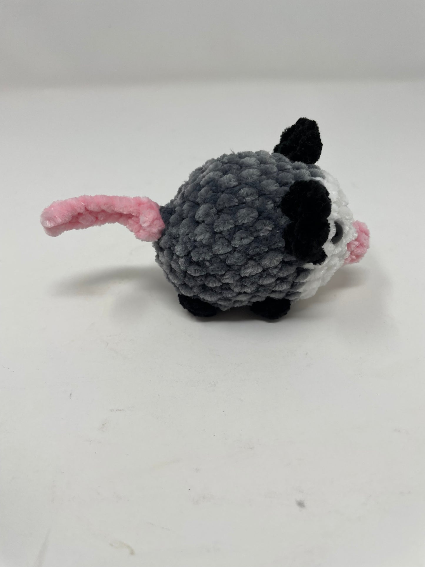Small Sized Opossum