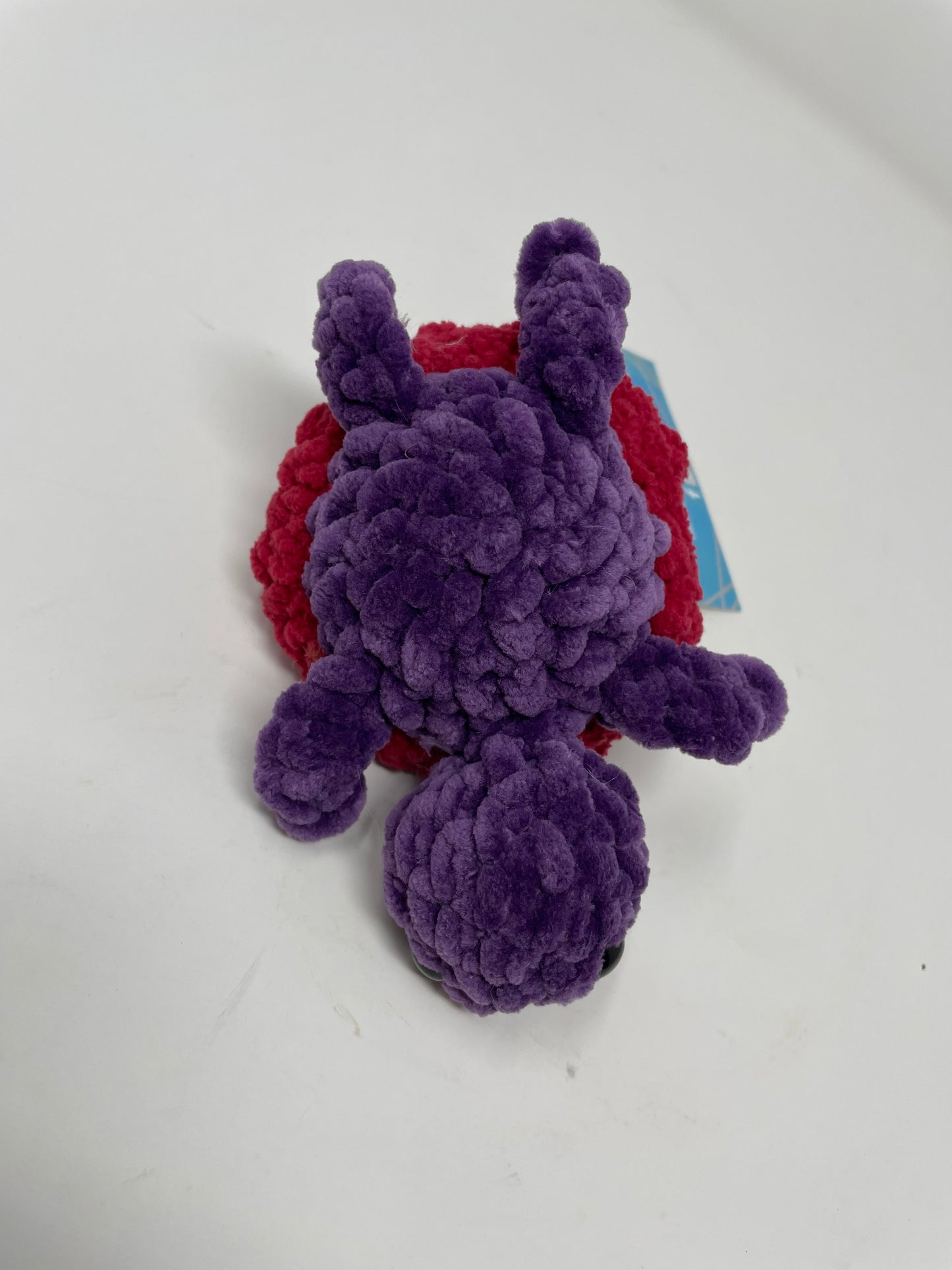 Mini Turtle