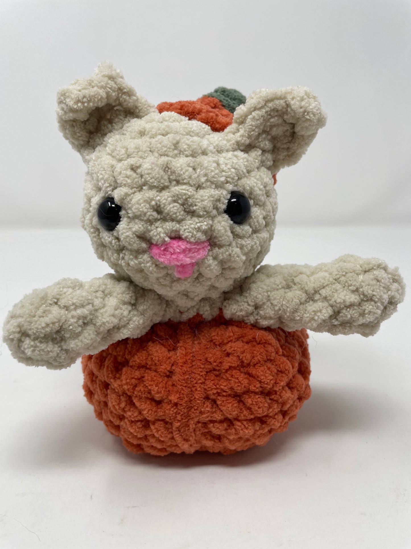 Kitten in a Pumpkin