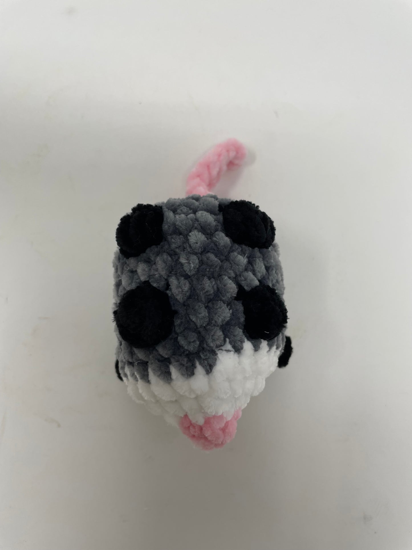 Small Sized Opossum