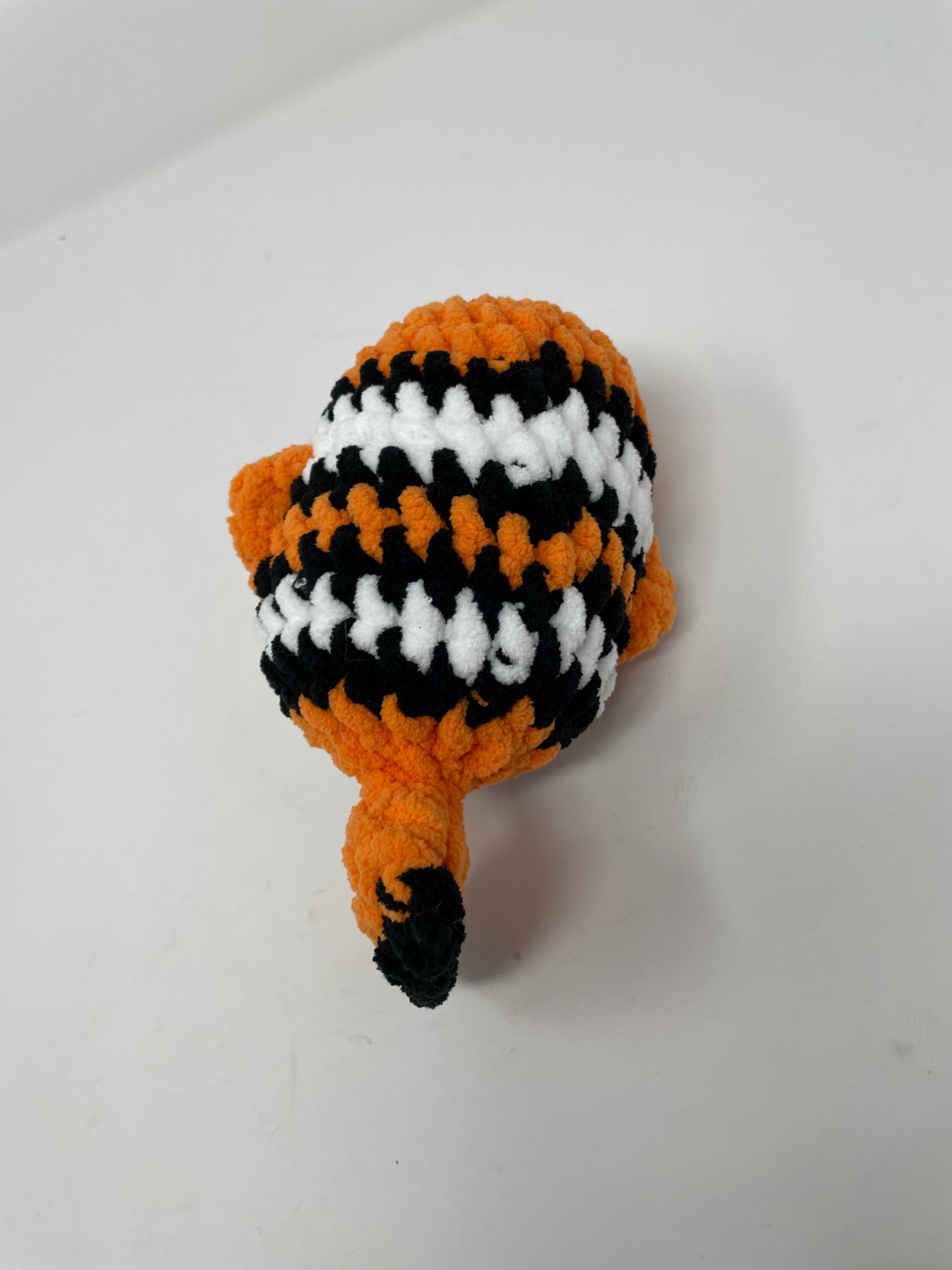 Clown Fish