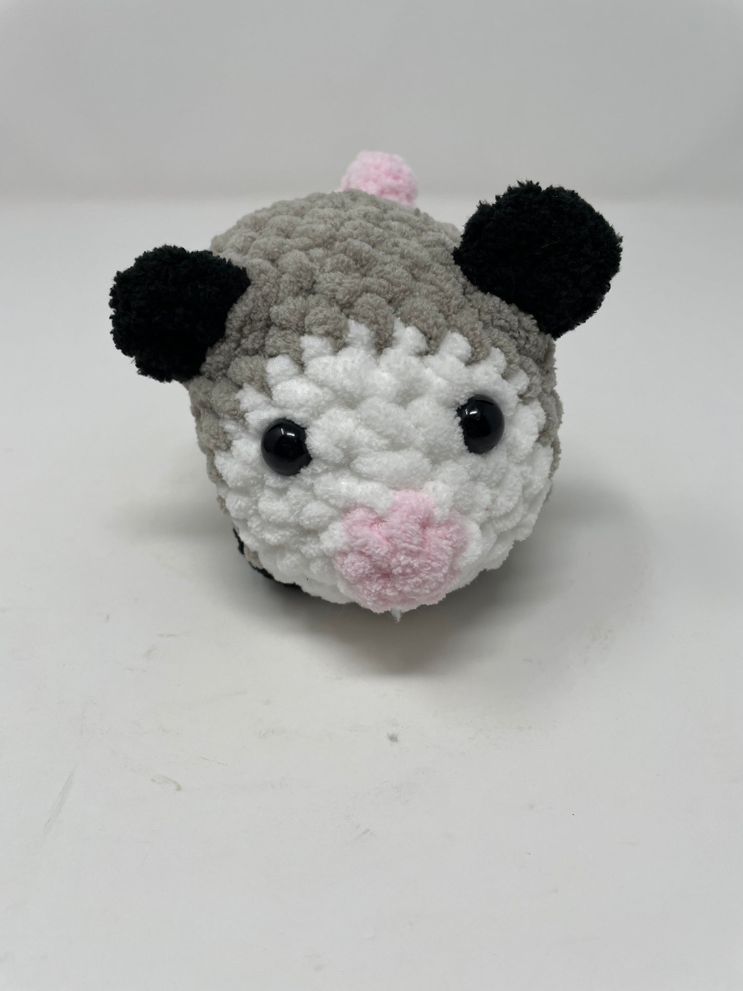 Medium Sized Opossum