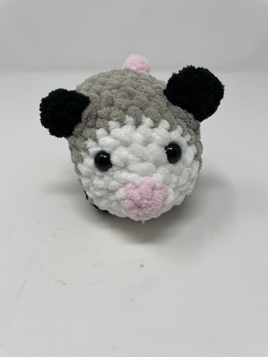 Medium Sized Opossum