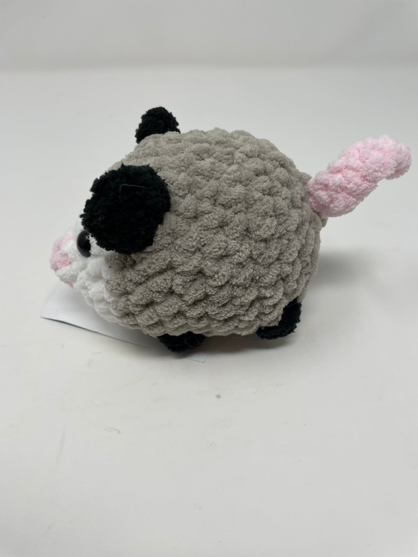 Medium Sized Opossum