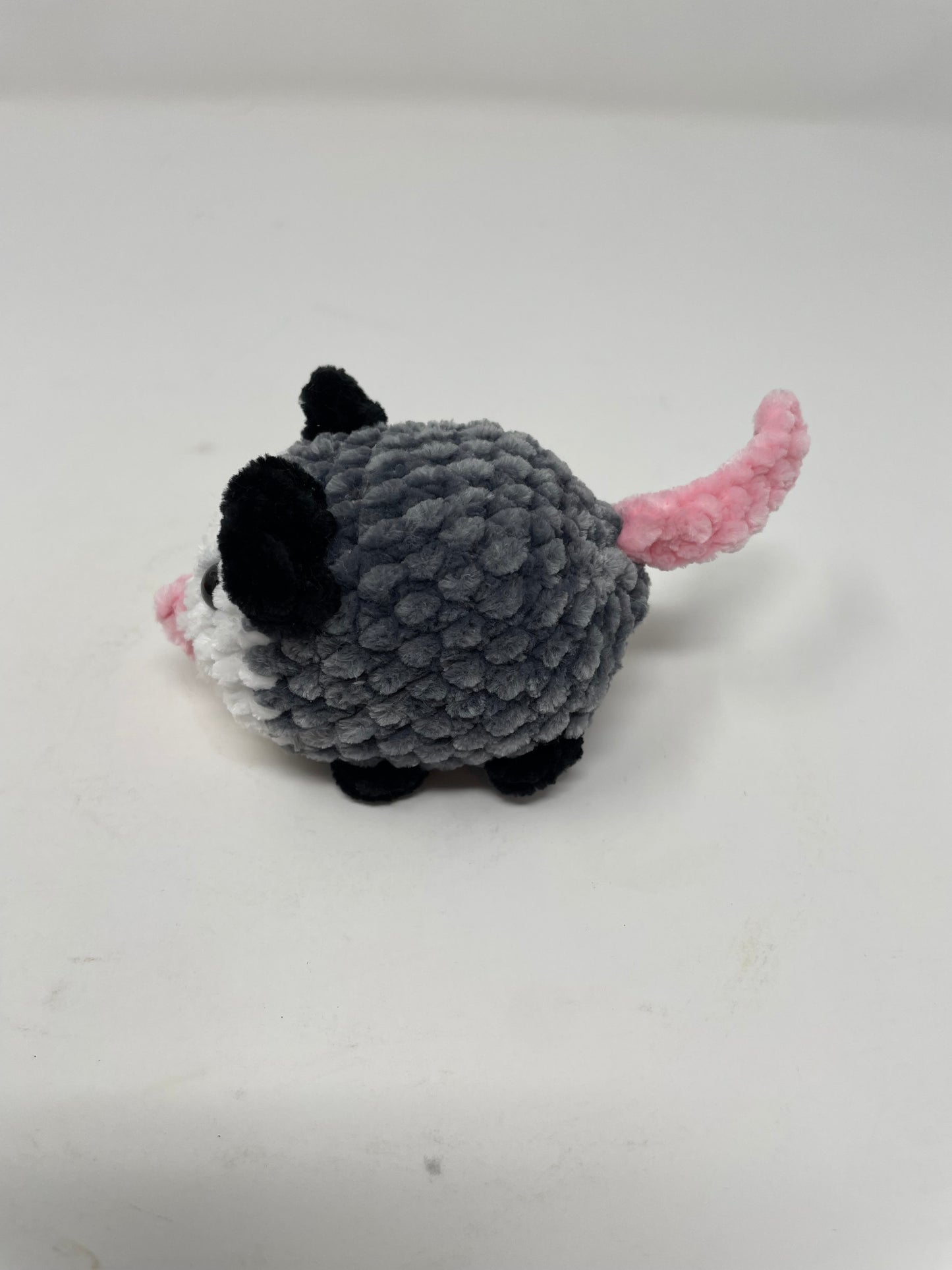 Small Sized Opossum