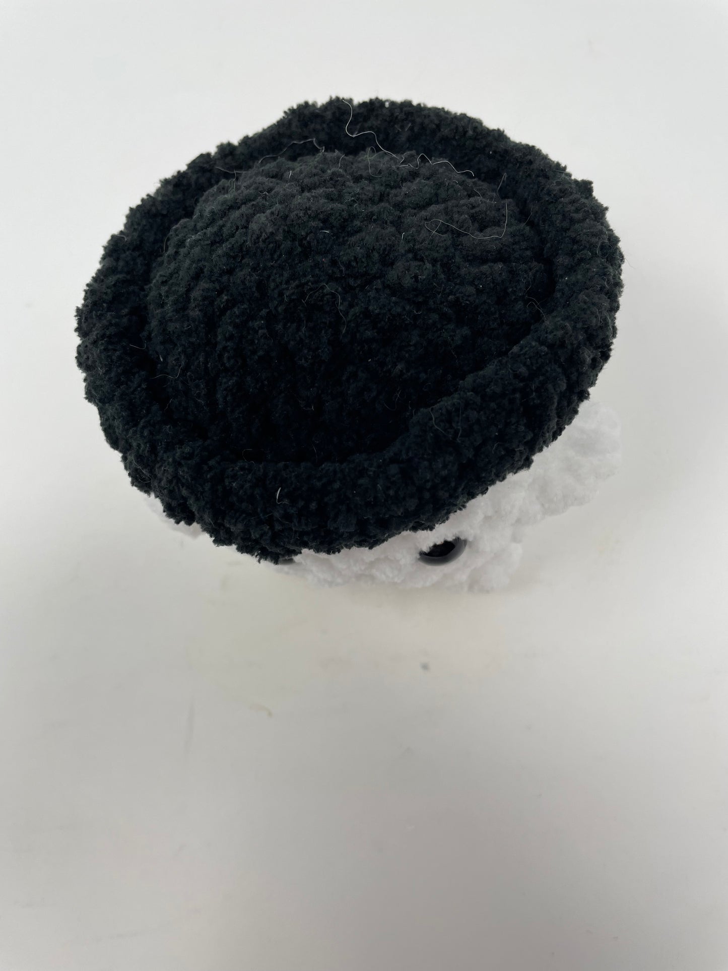 Mushroom Guy