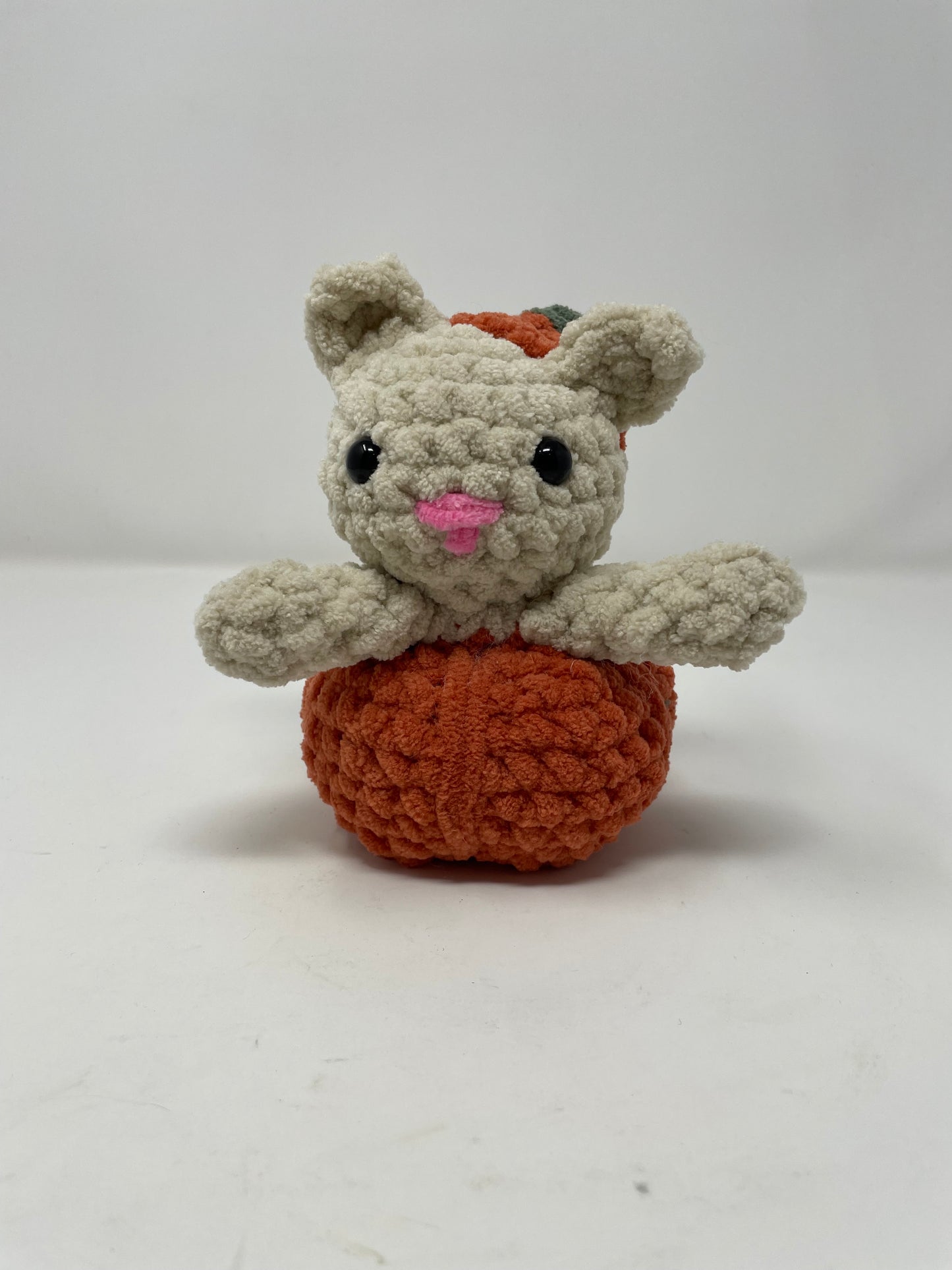 Kitten in a Pumpkin