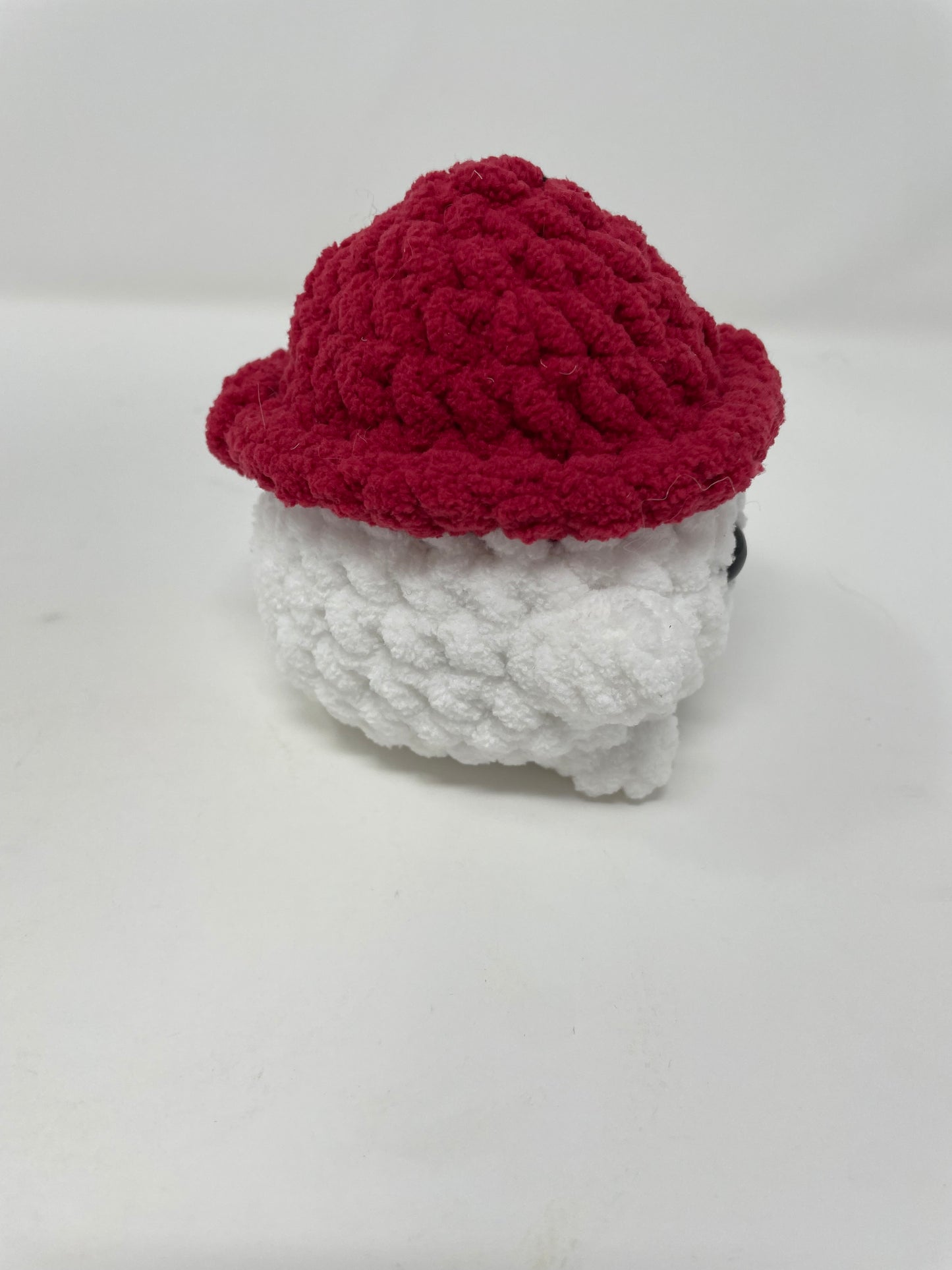 Mushroom Guy