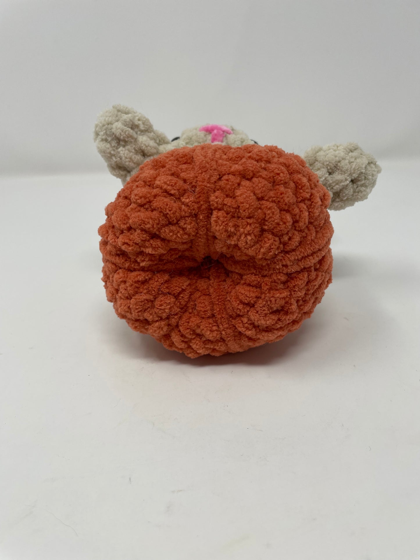 Kitten in a Pumpkin