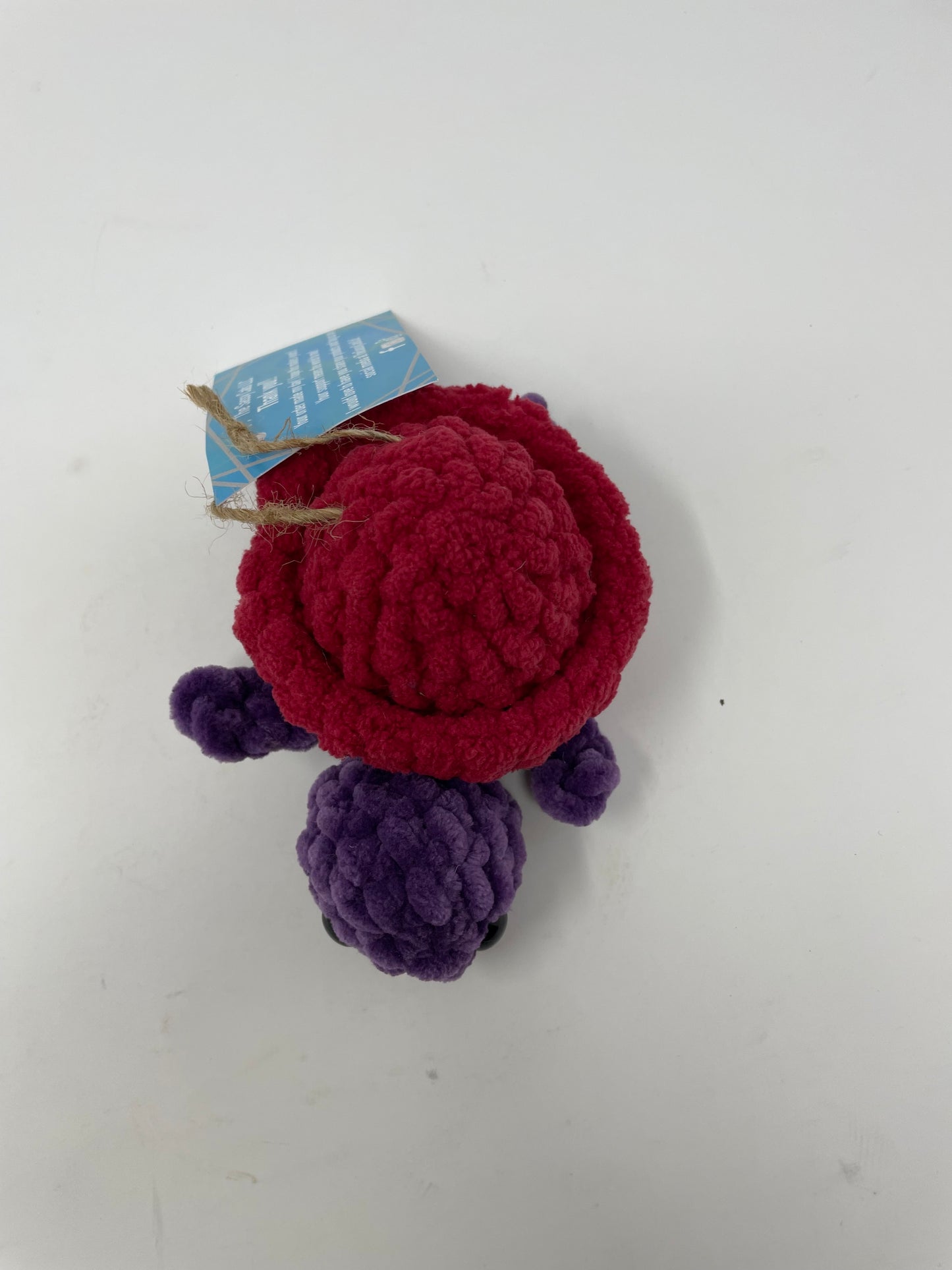 Mini Turtle