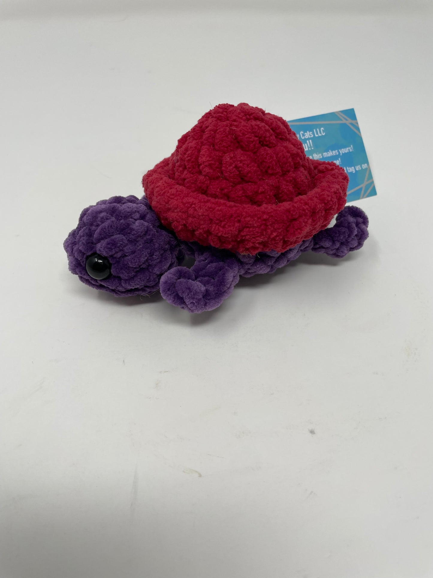 Mini Turtle