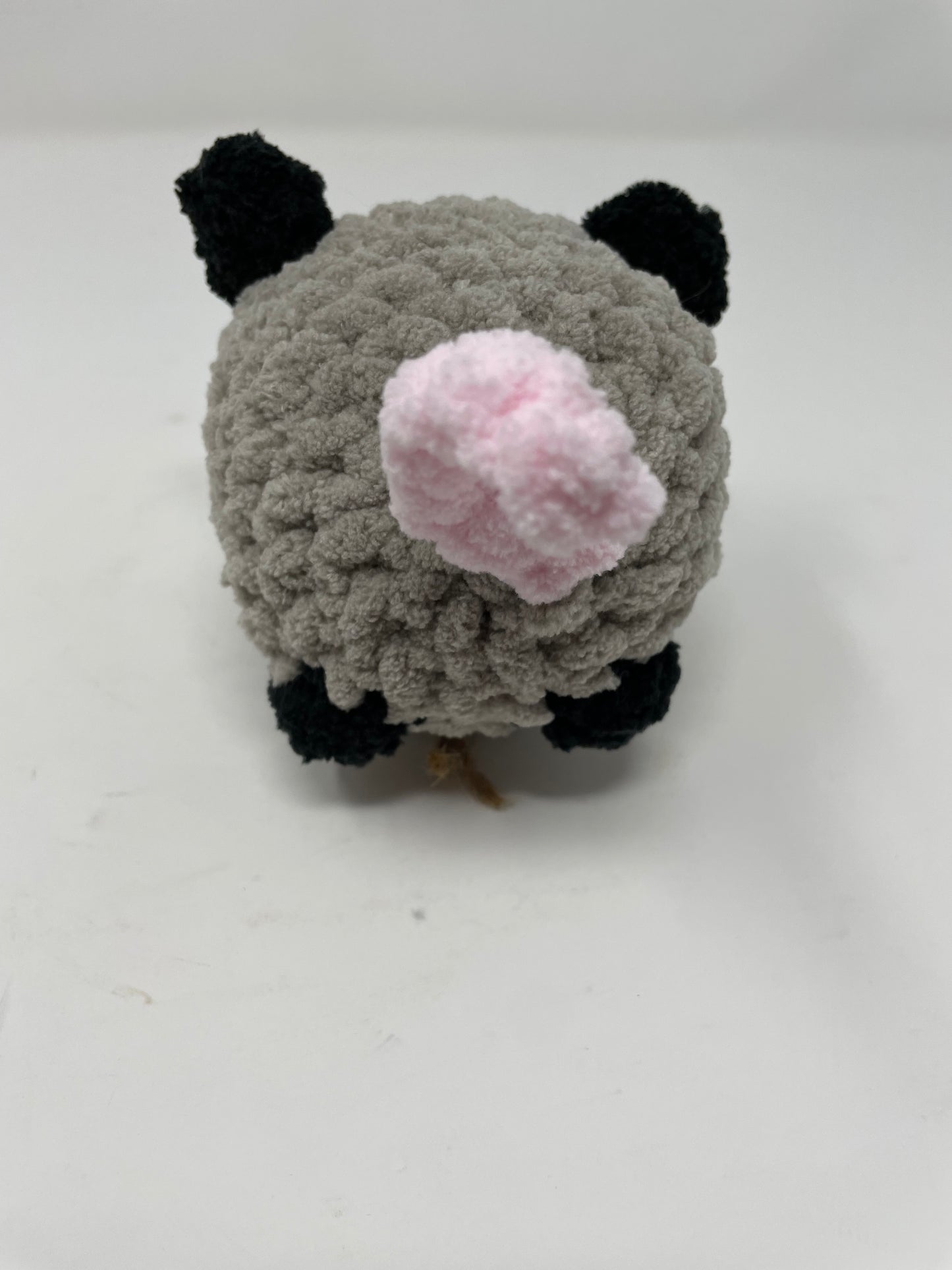 Medium Sized Opossum