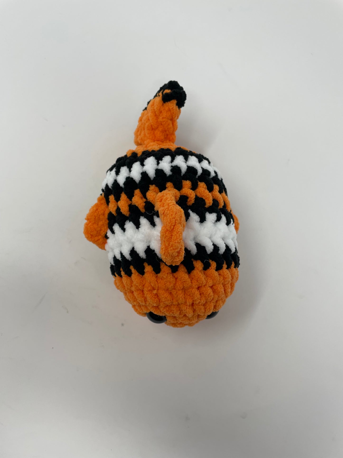 Clown Fish