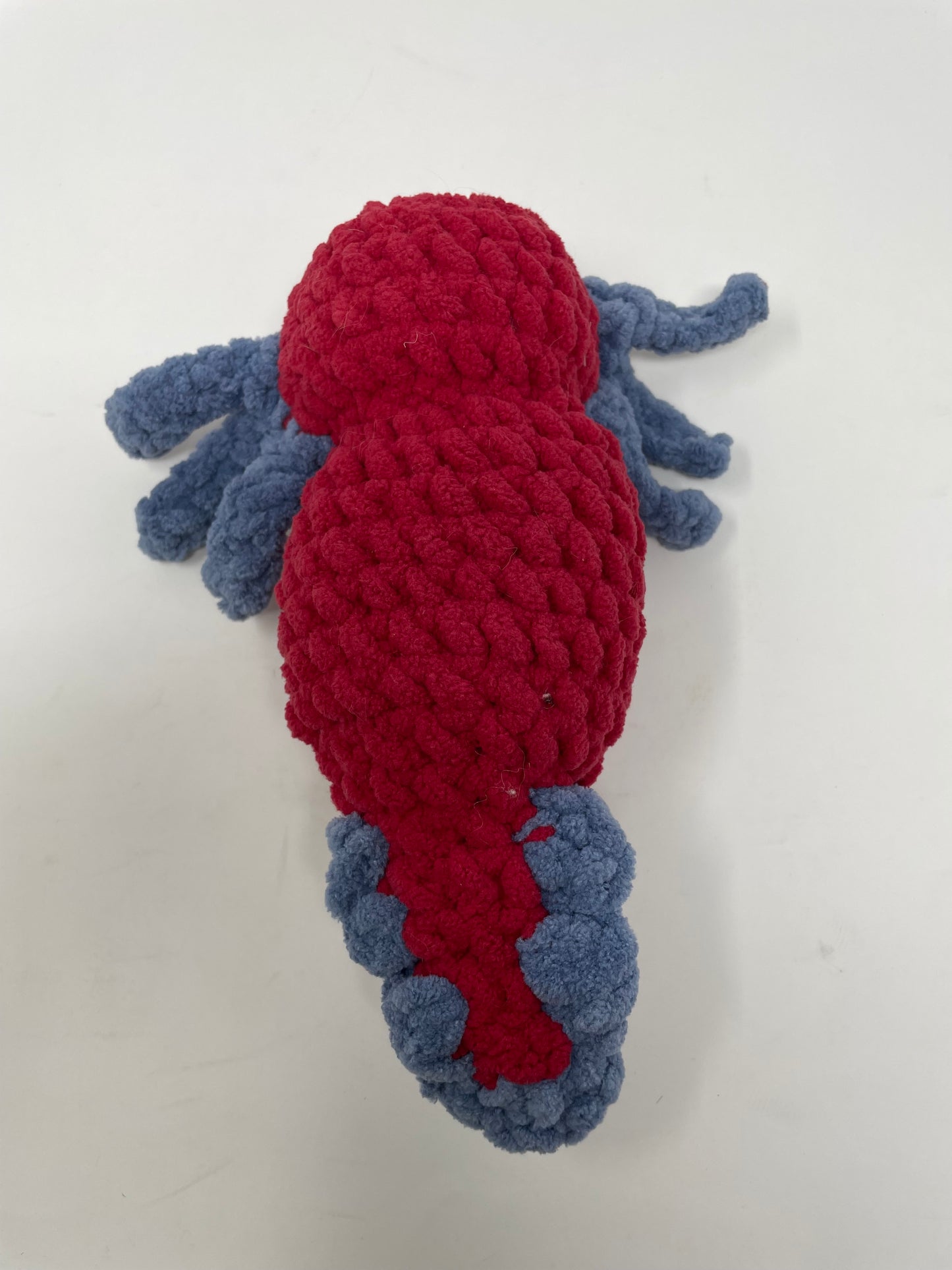 Red & Blue Axolotl