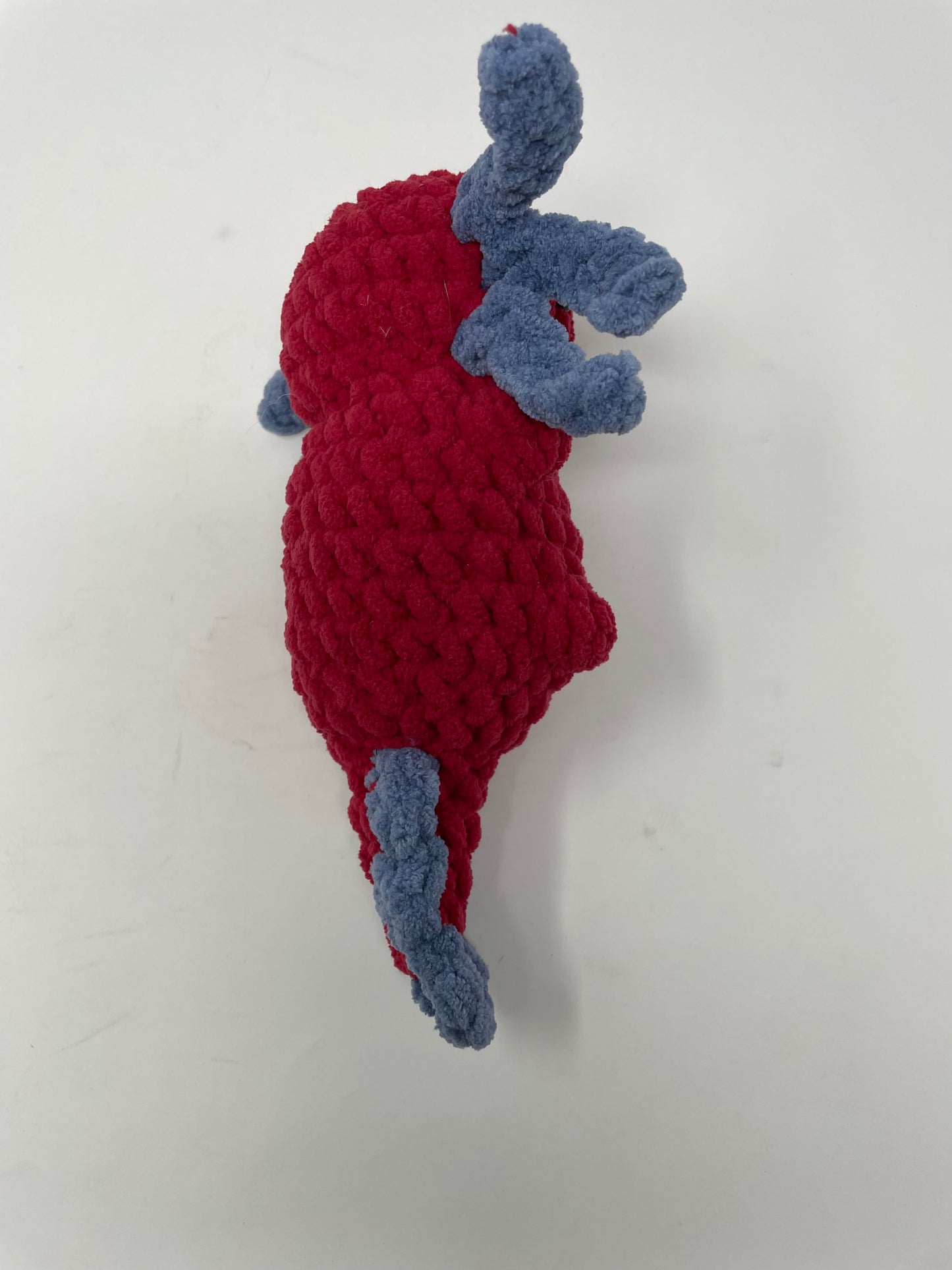 Red & Blue Axolotl