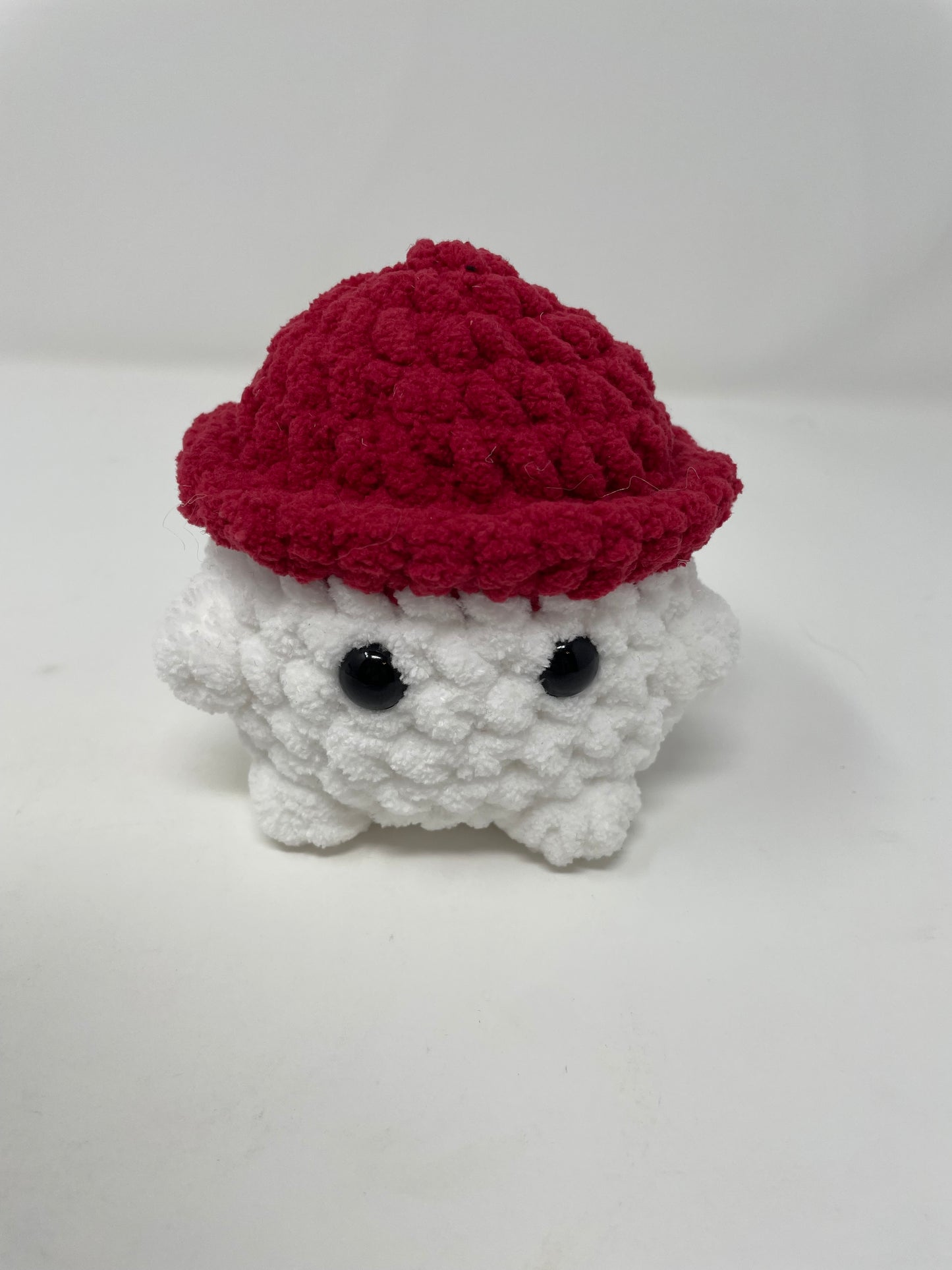 Mushroom Guy