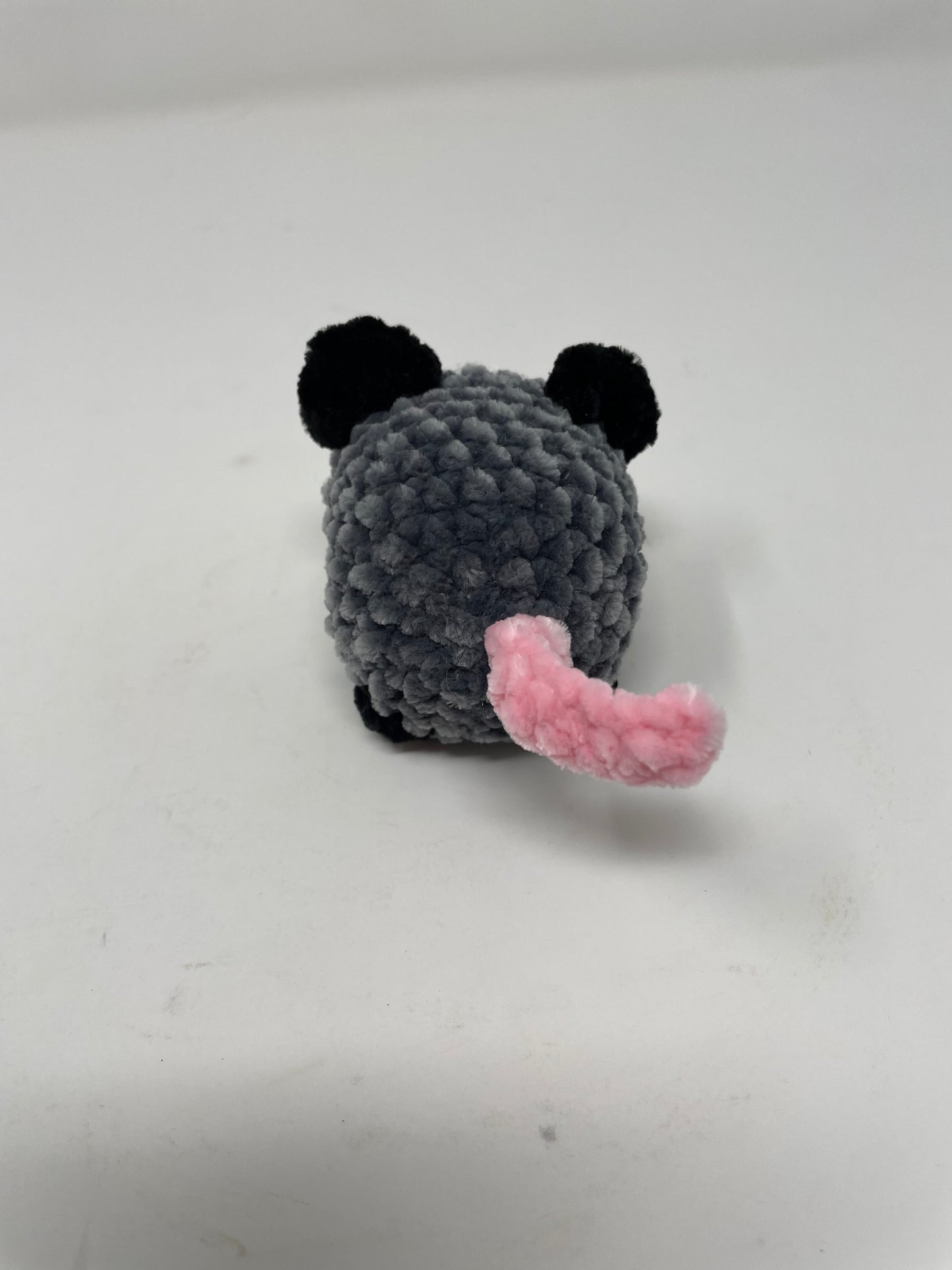 Small Sized Opossum