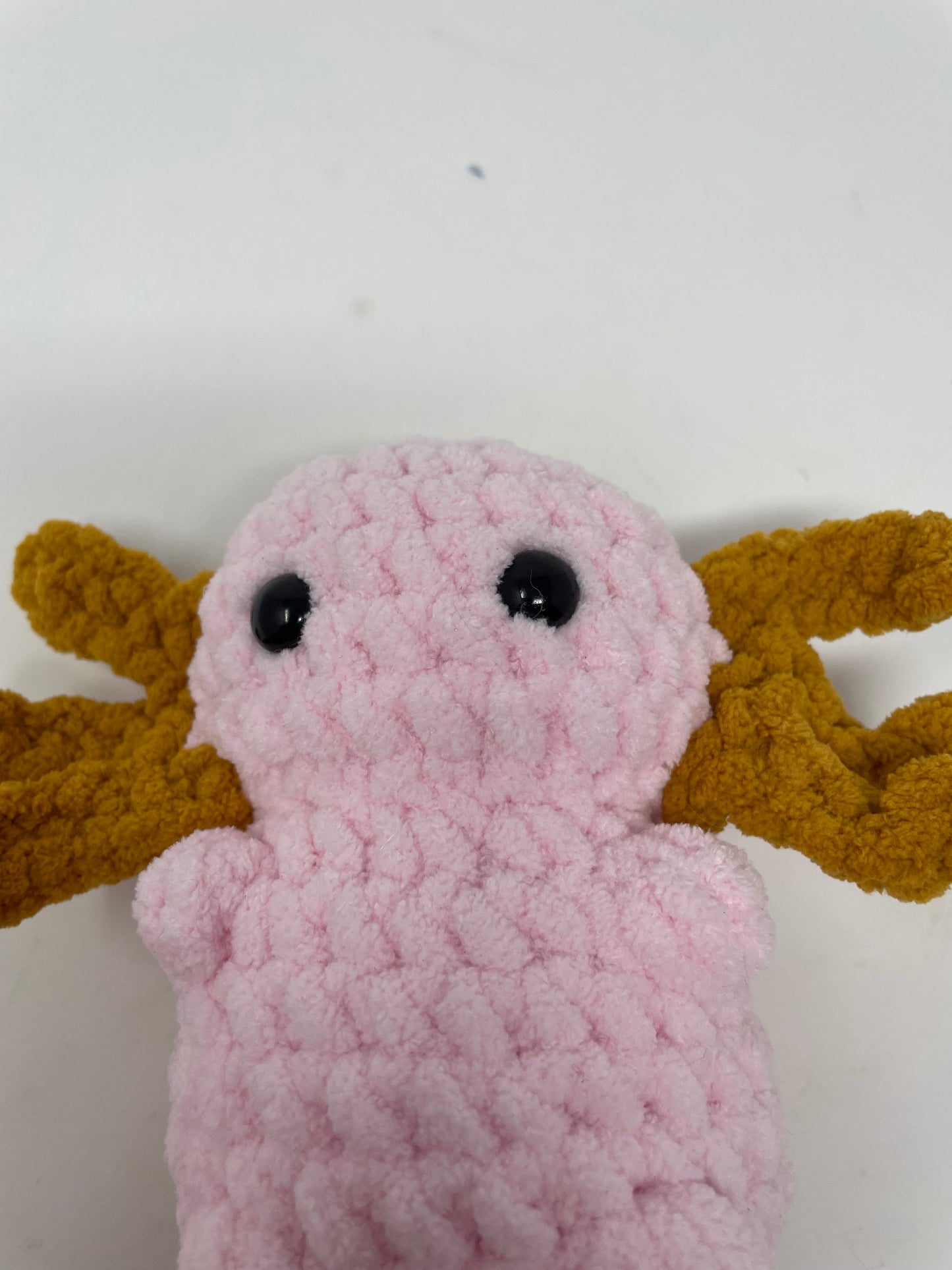 Pink Axolotl