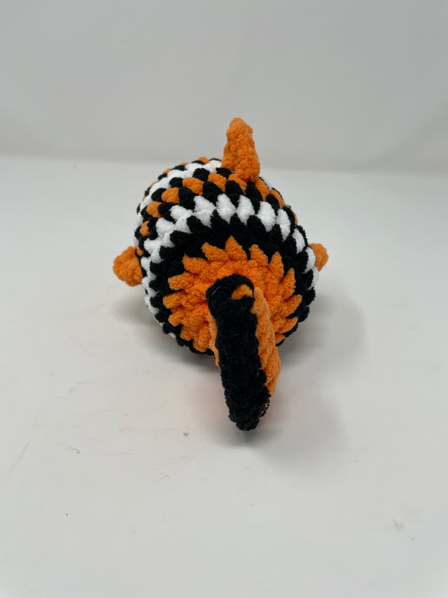 Clown Fish