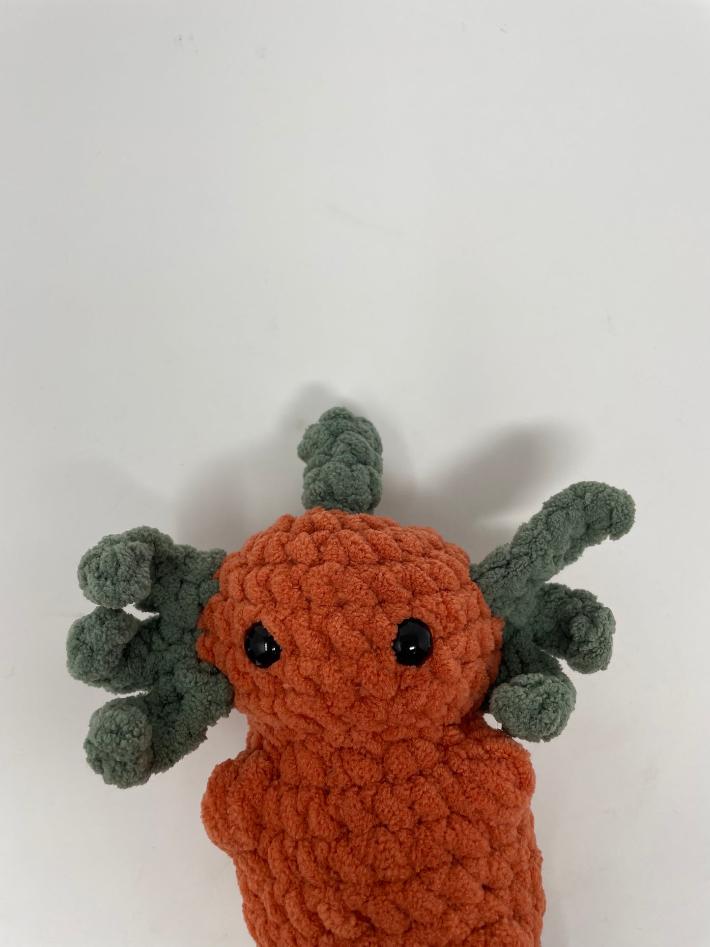 Pumpkin Axolotl