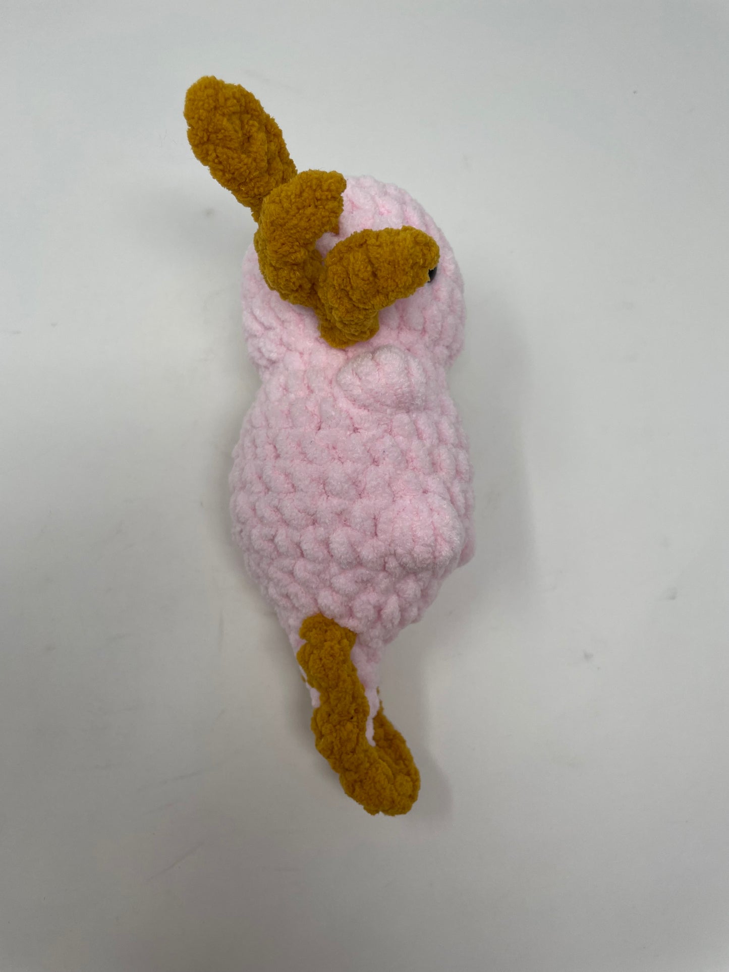 Pink Axolotl