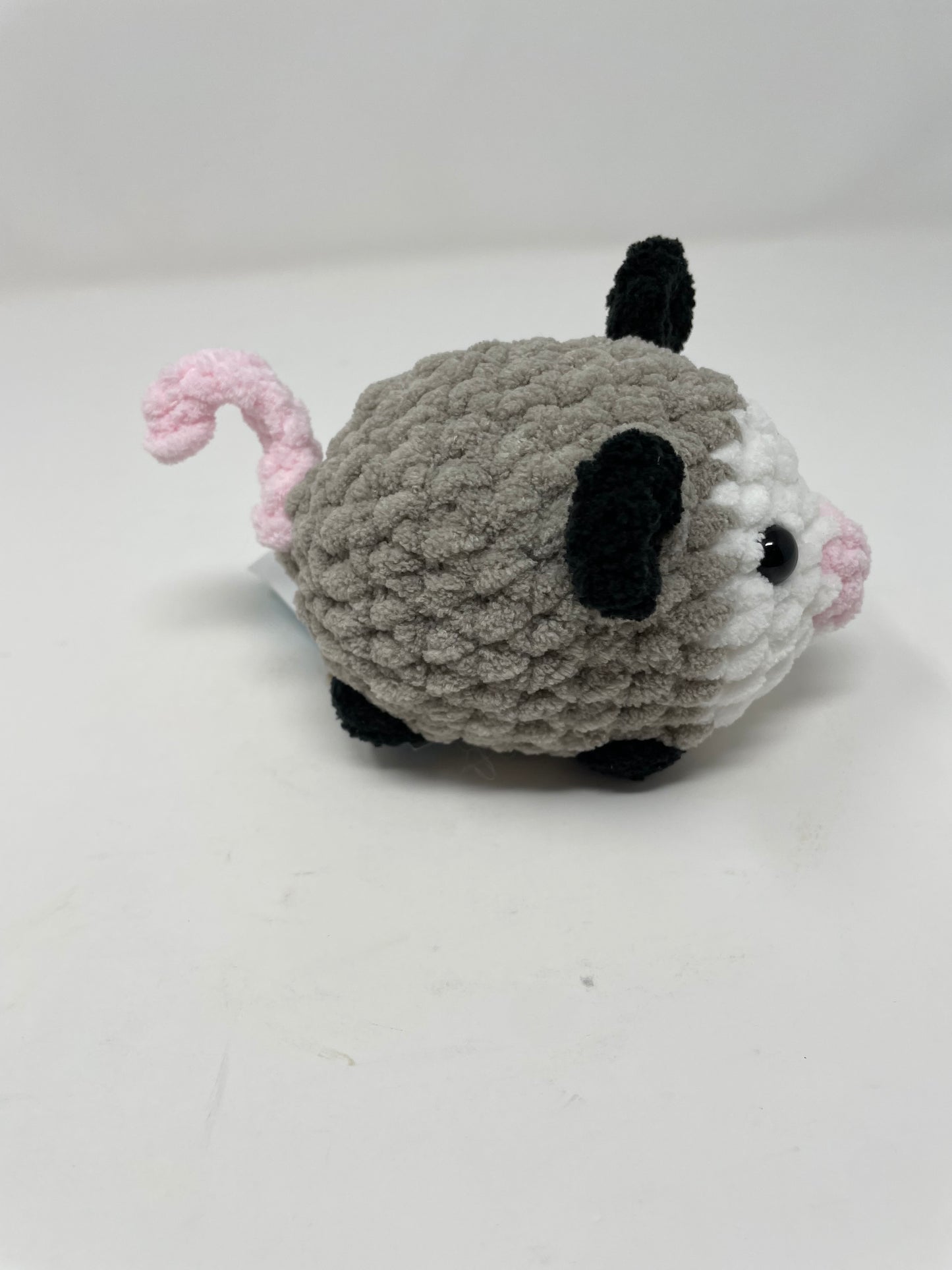 Medium Sized Opossum