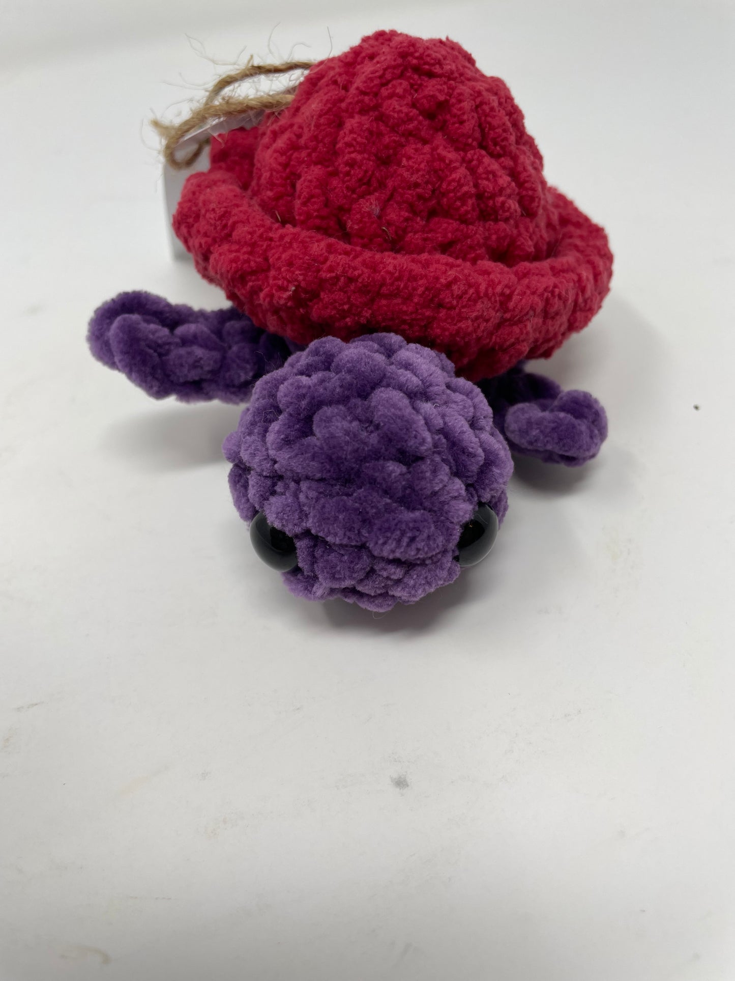 Mini Turtle