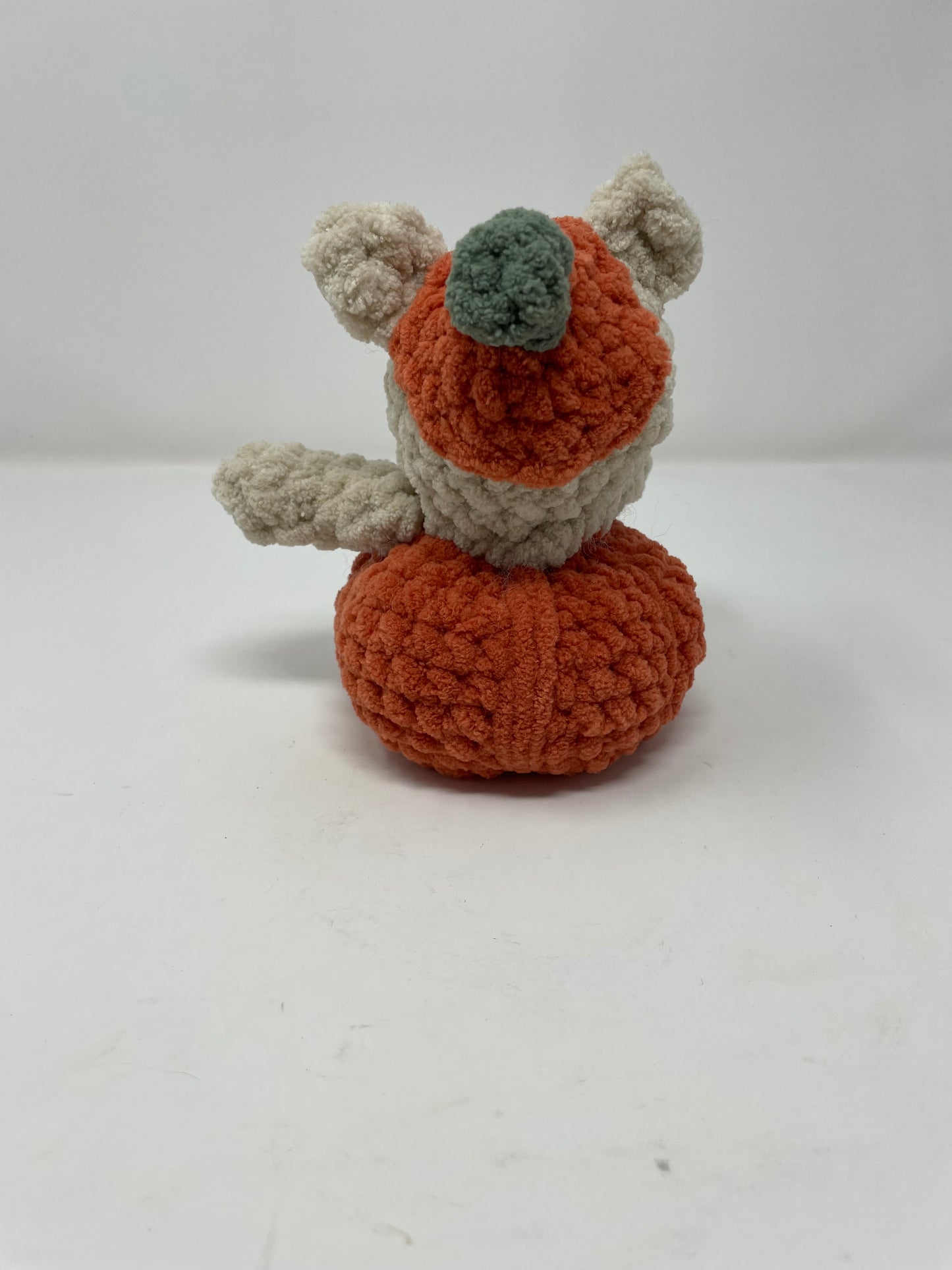 Kitten in a Pumpkin
