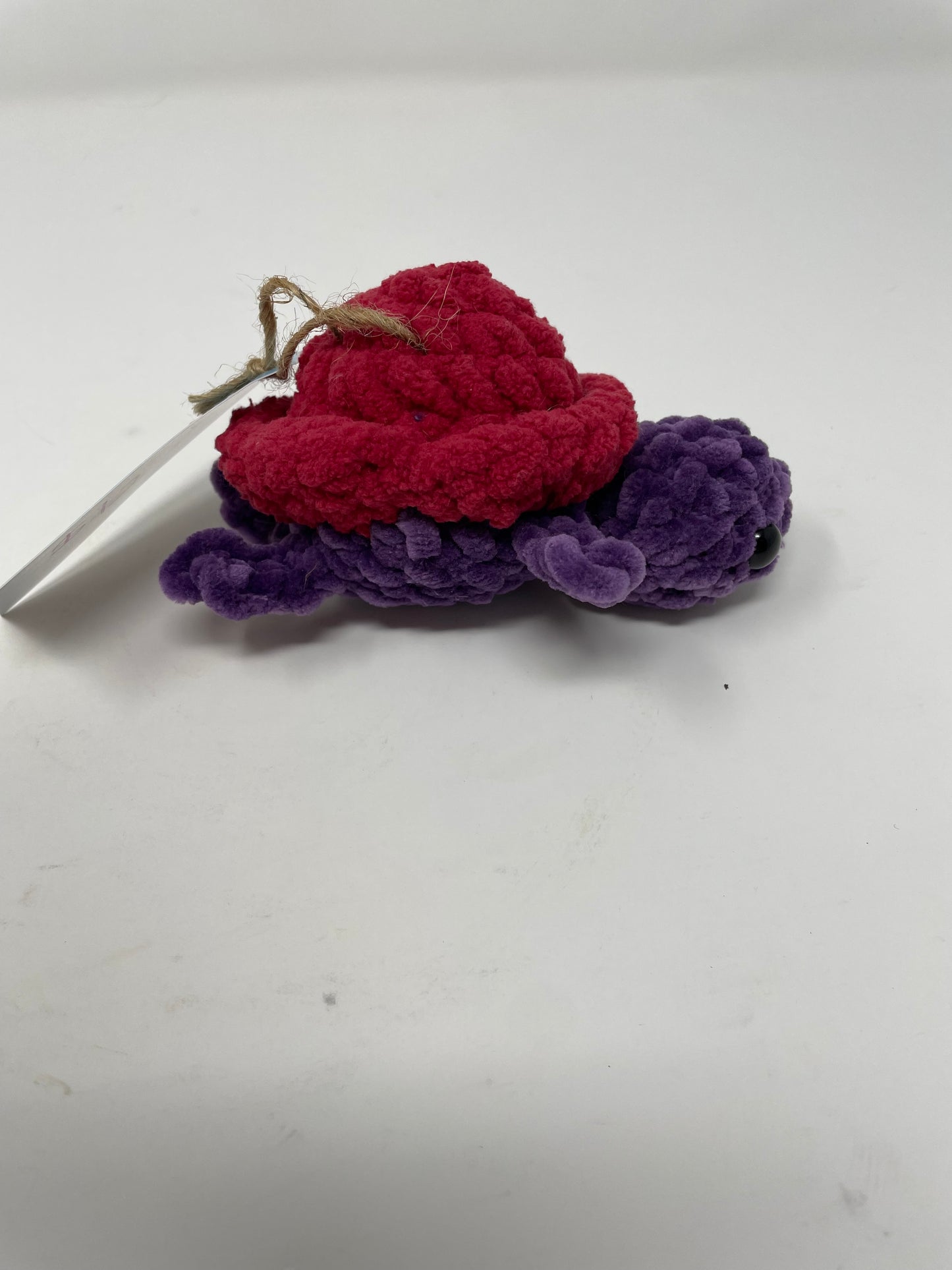 Mini Turtle