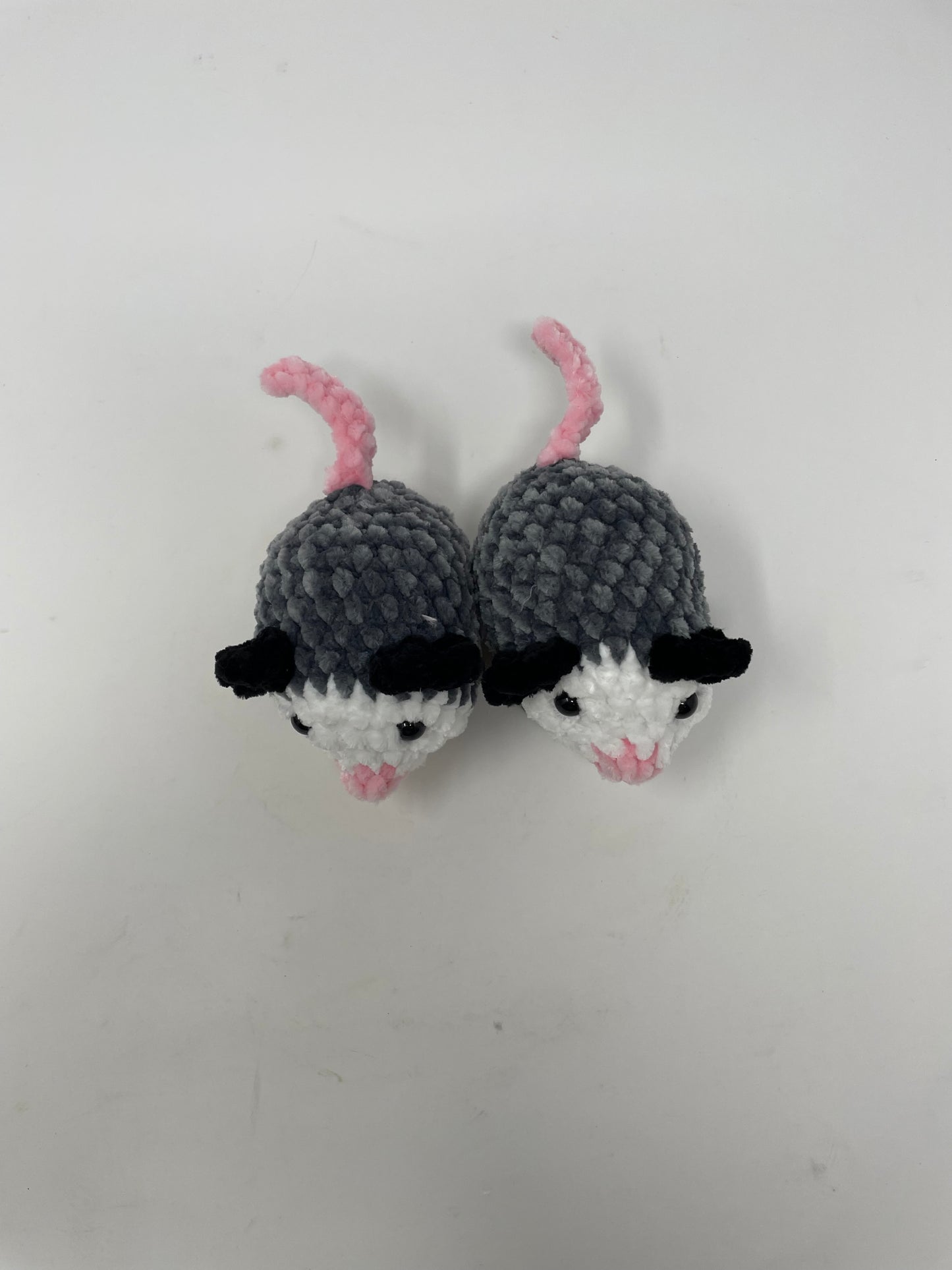Small Sized Opossum