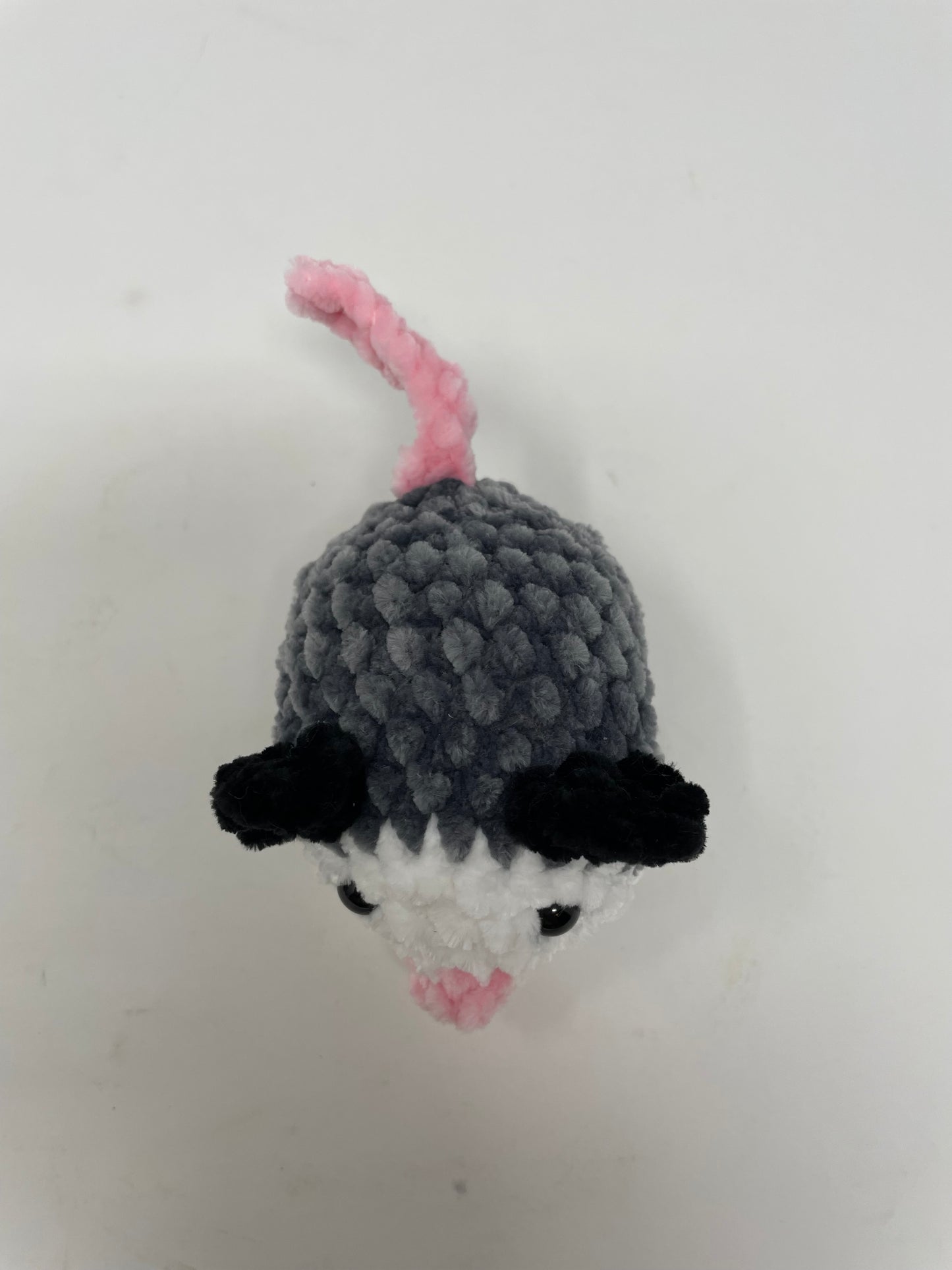 Small Sized Opossum