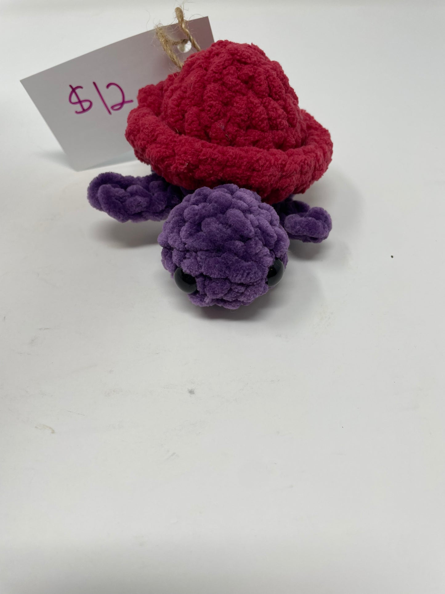 Mini Turtle