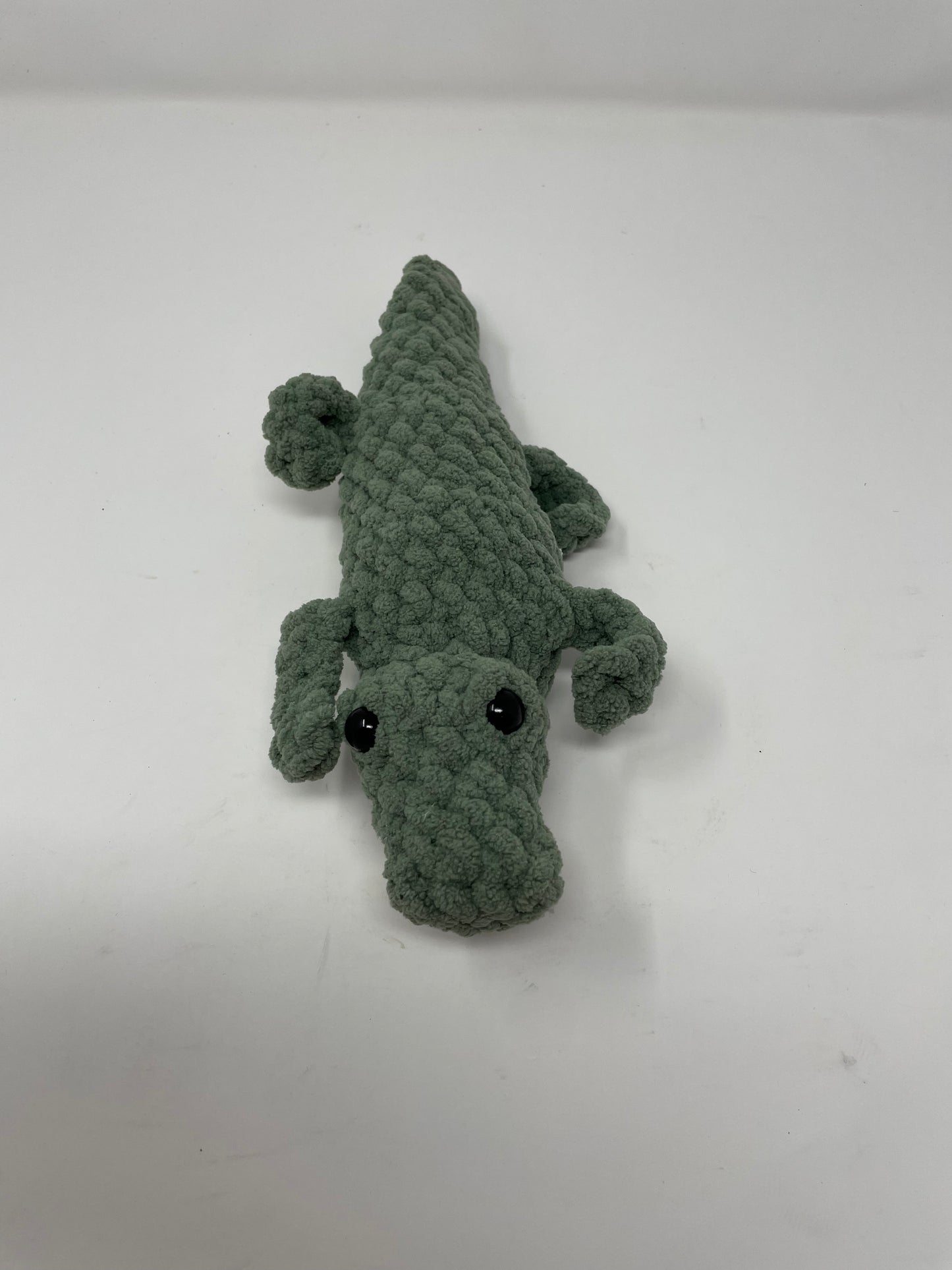 Alligator