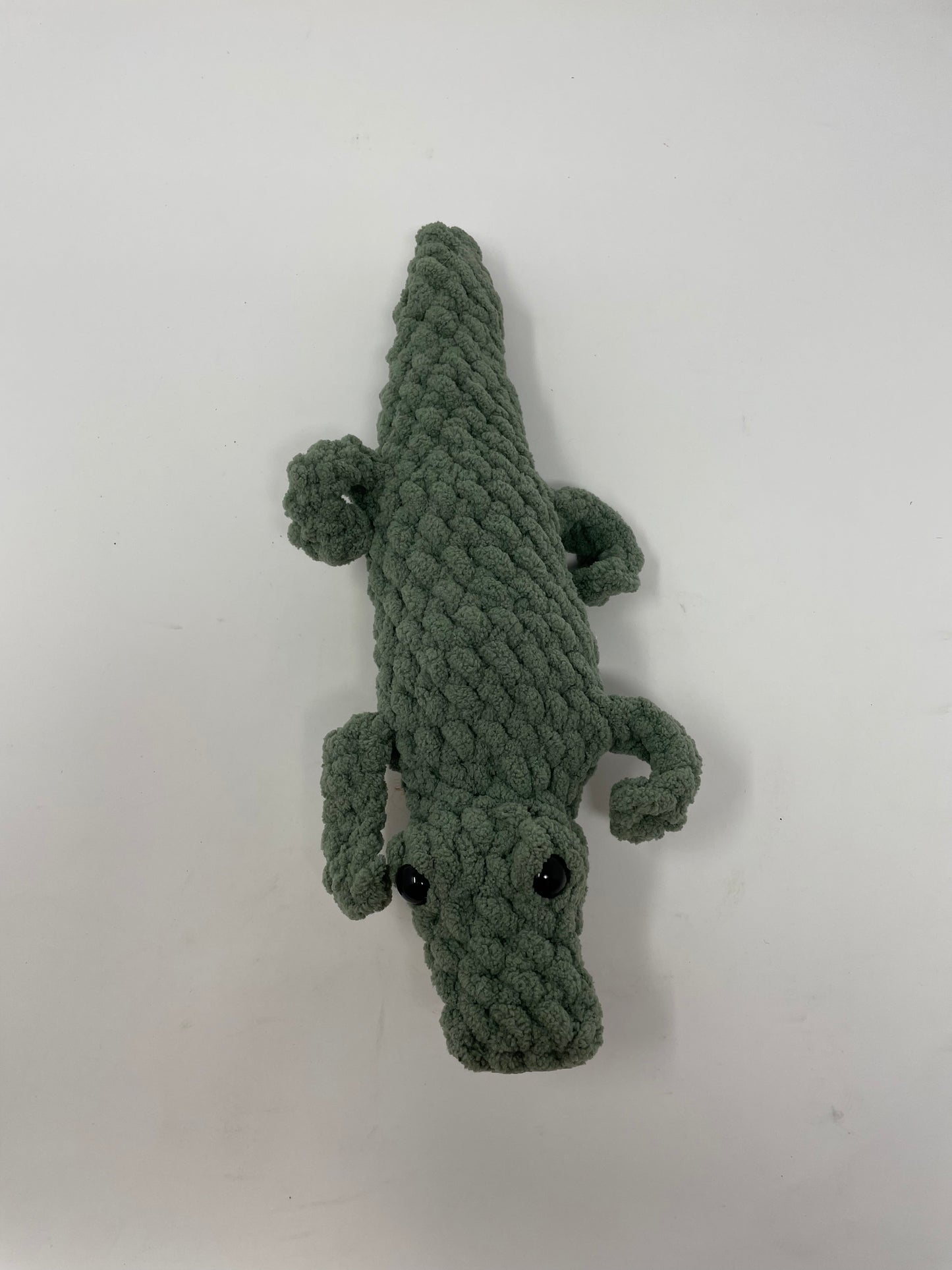 Alligator