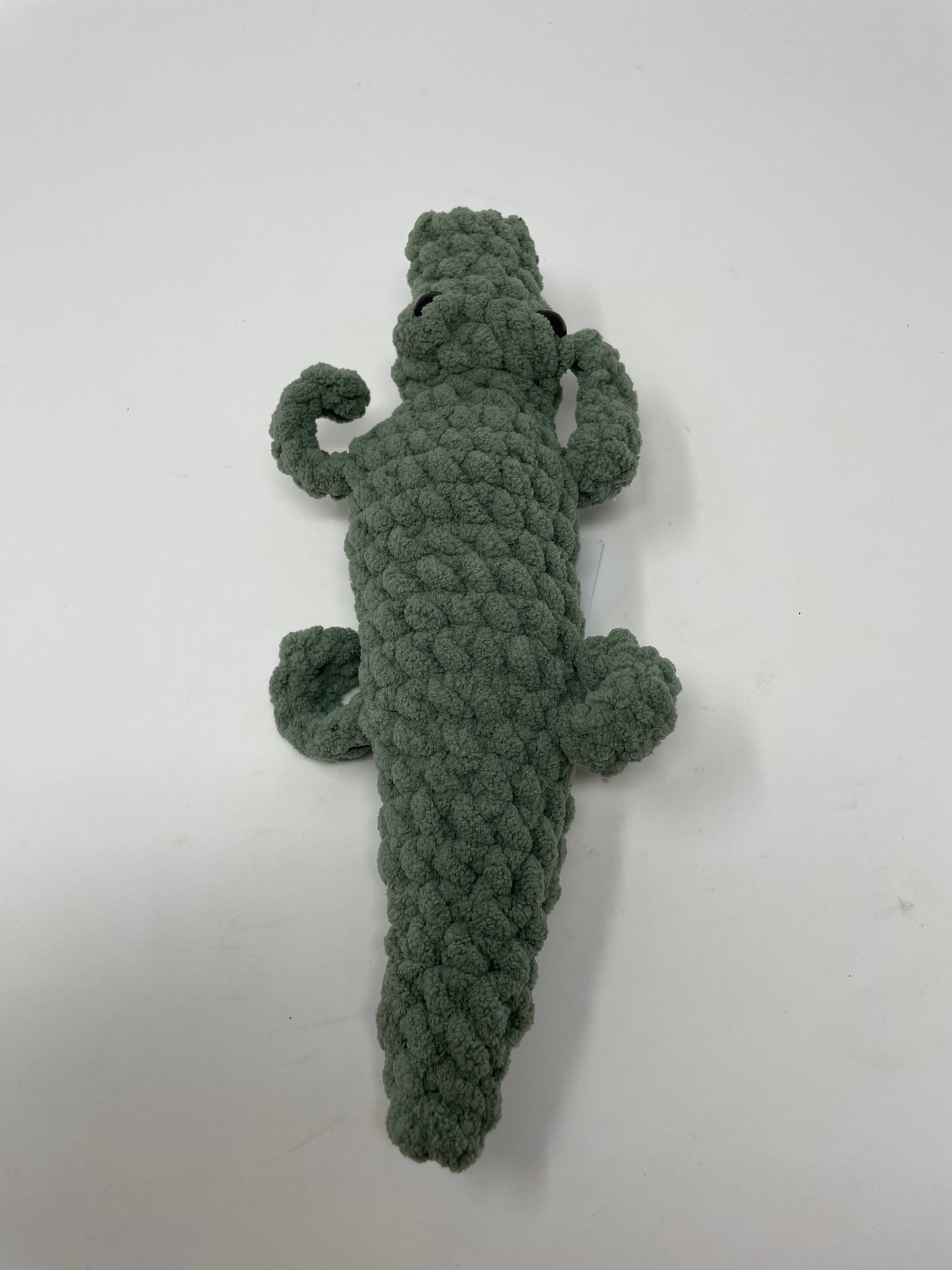 Alligator