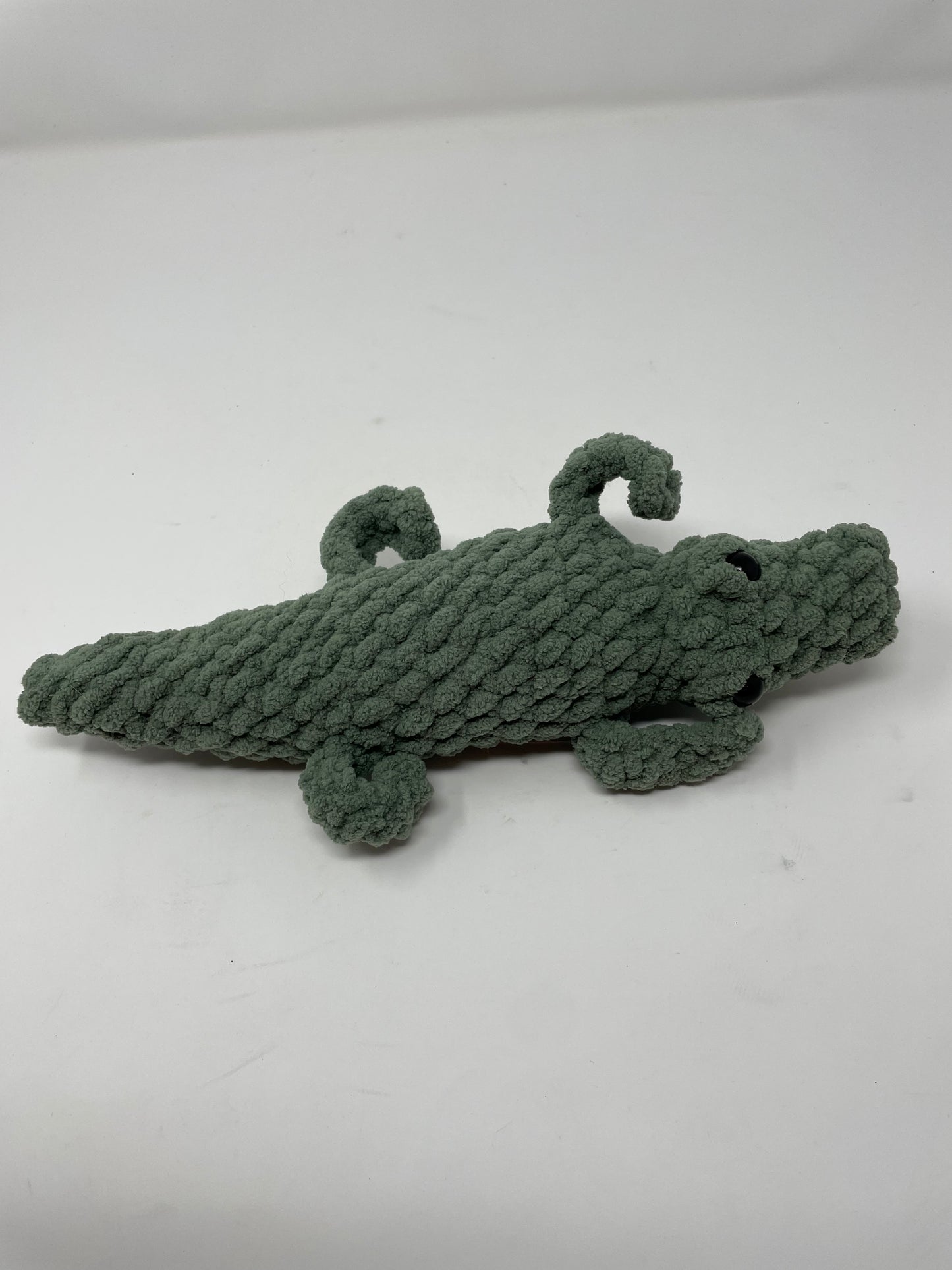 Alligator