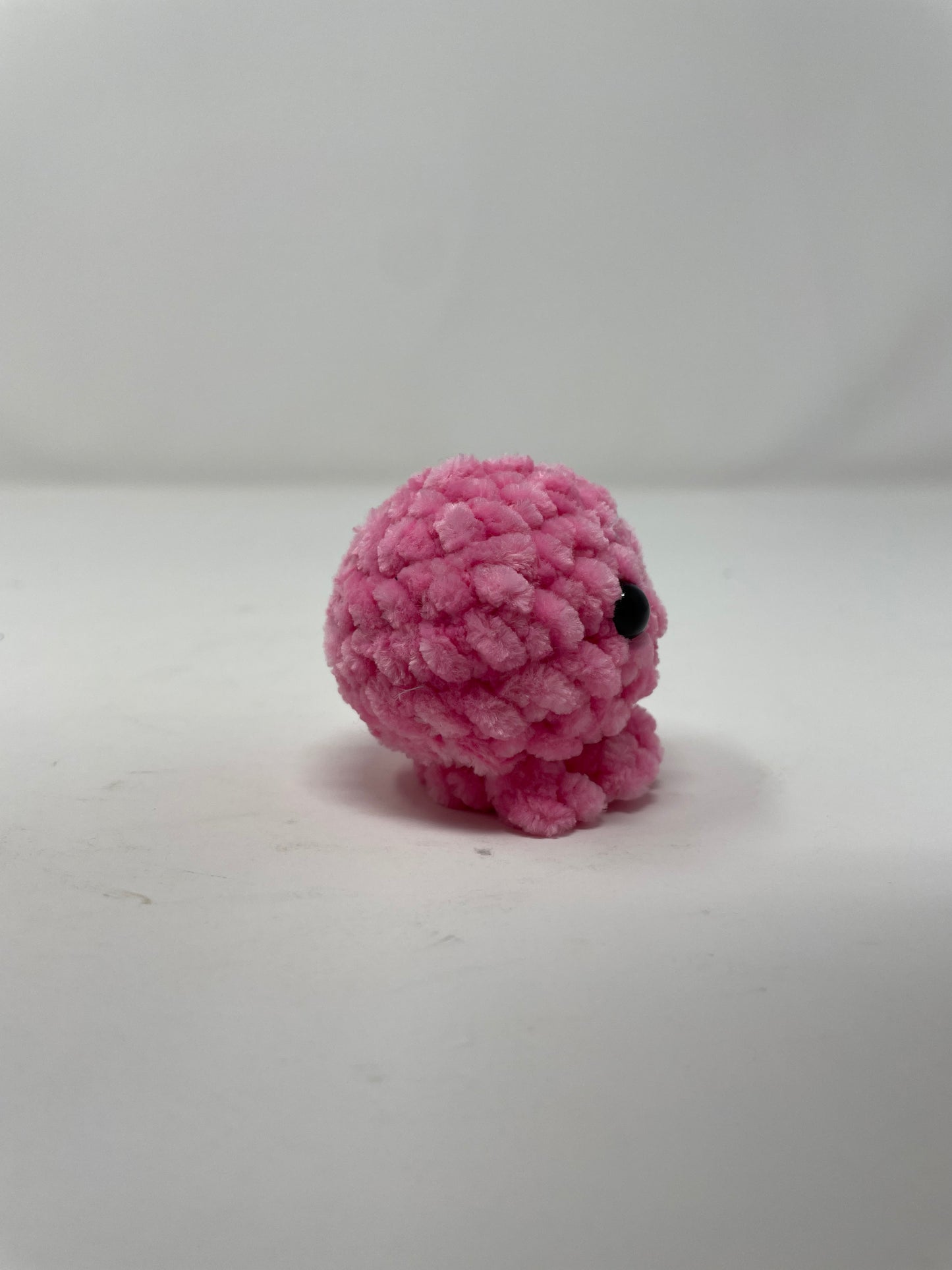 Mini Octo
