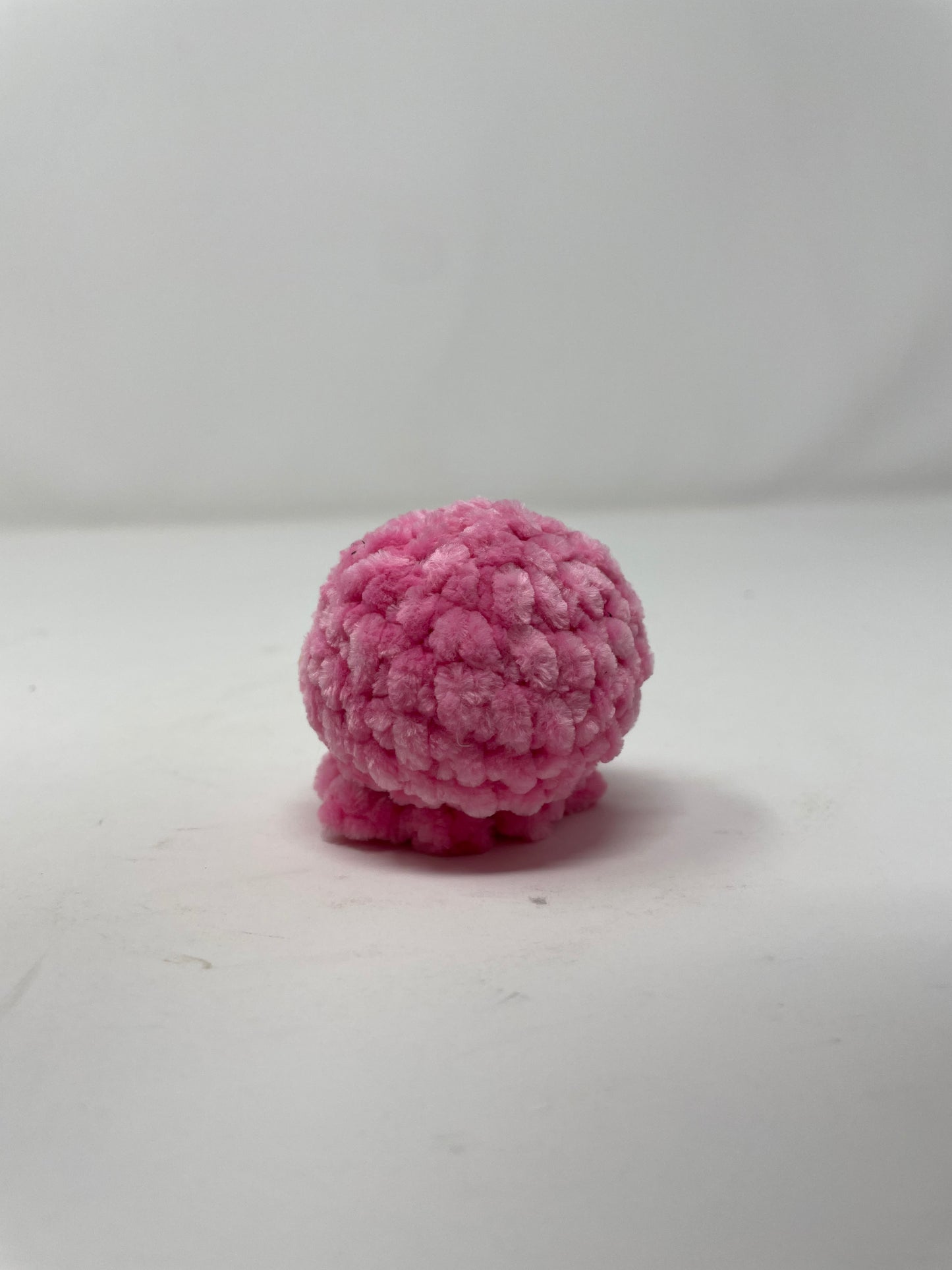 Mini Octo