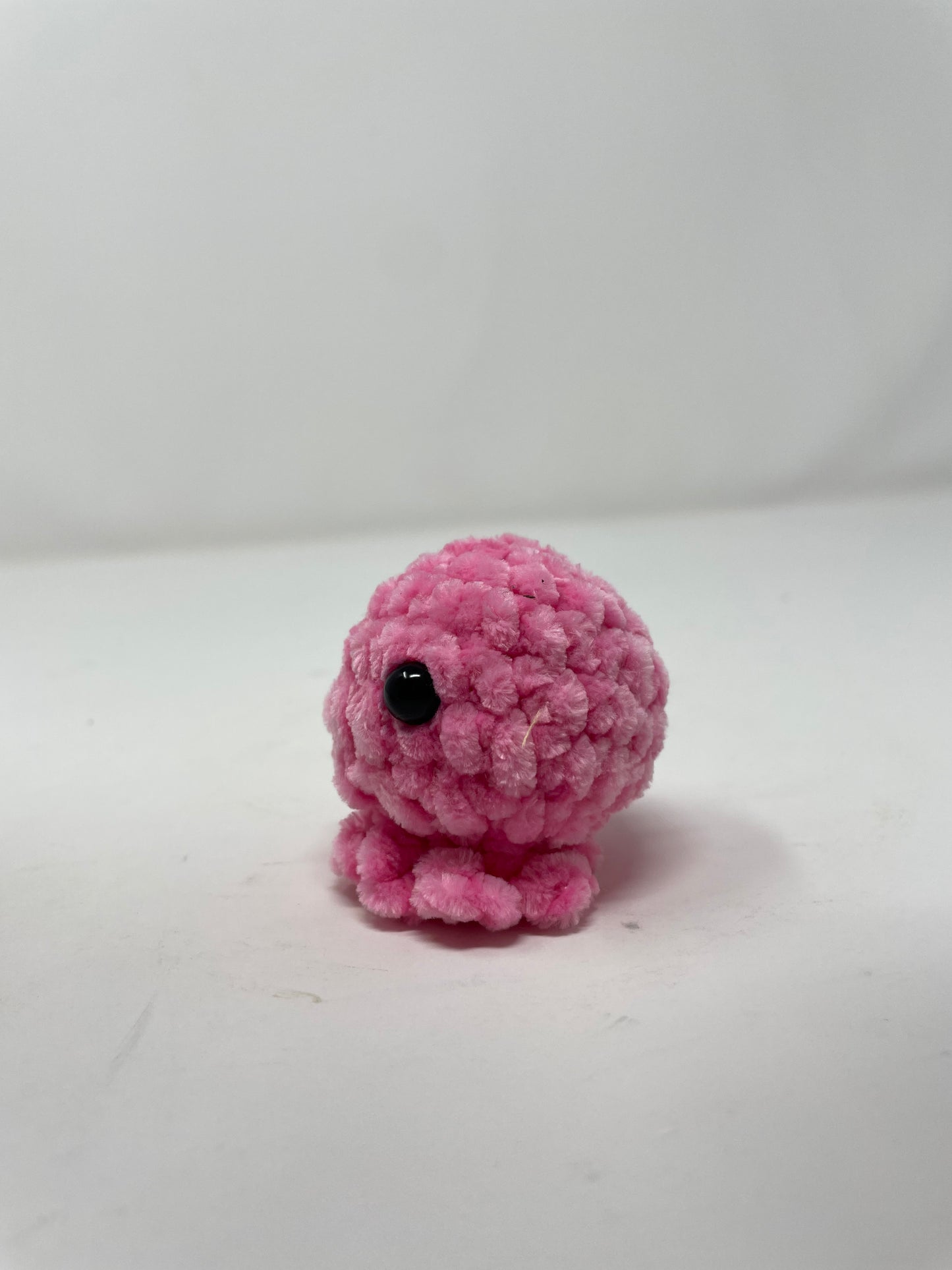 Mini Octo