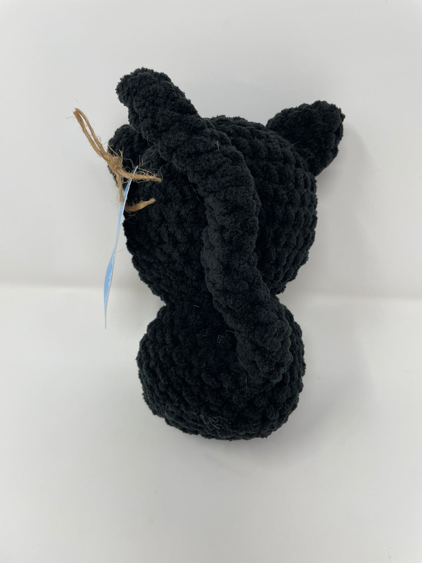 Black Cat with Orange Hat