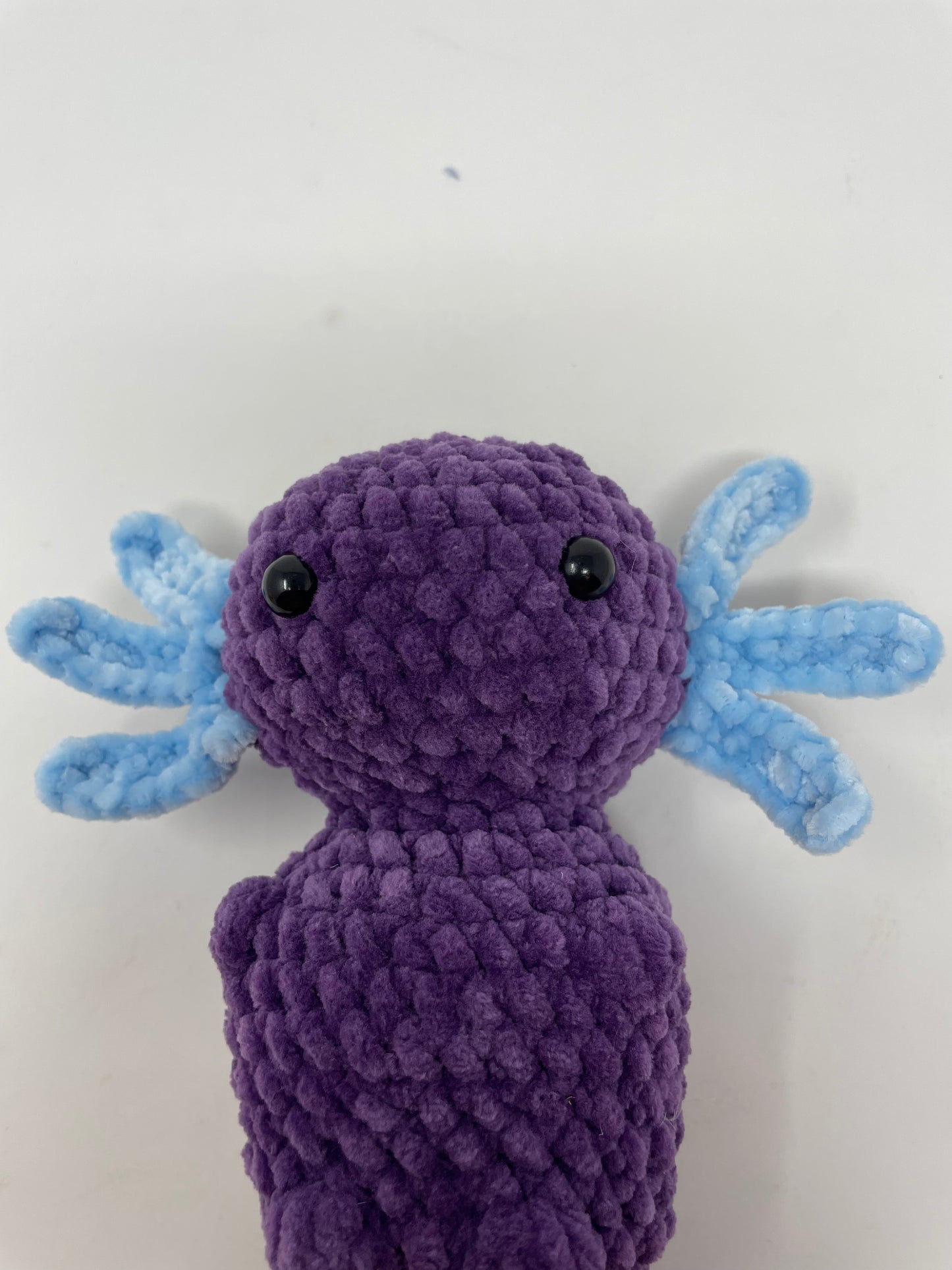 Purple & Blue Axolotl