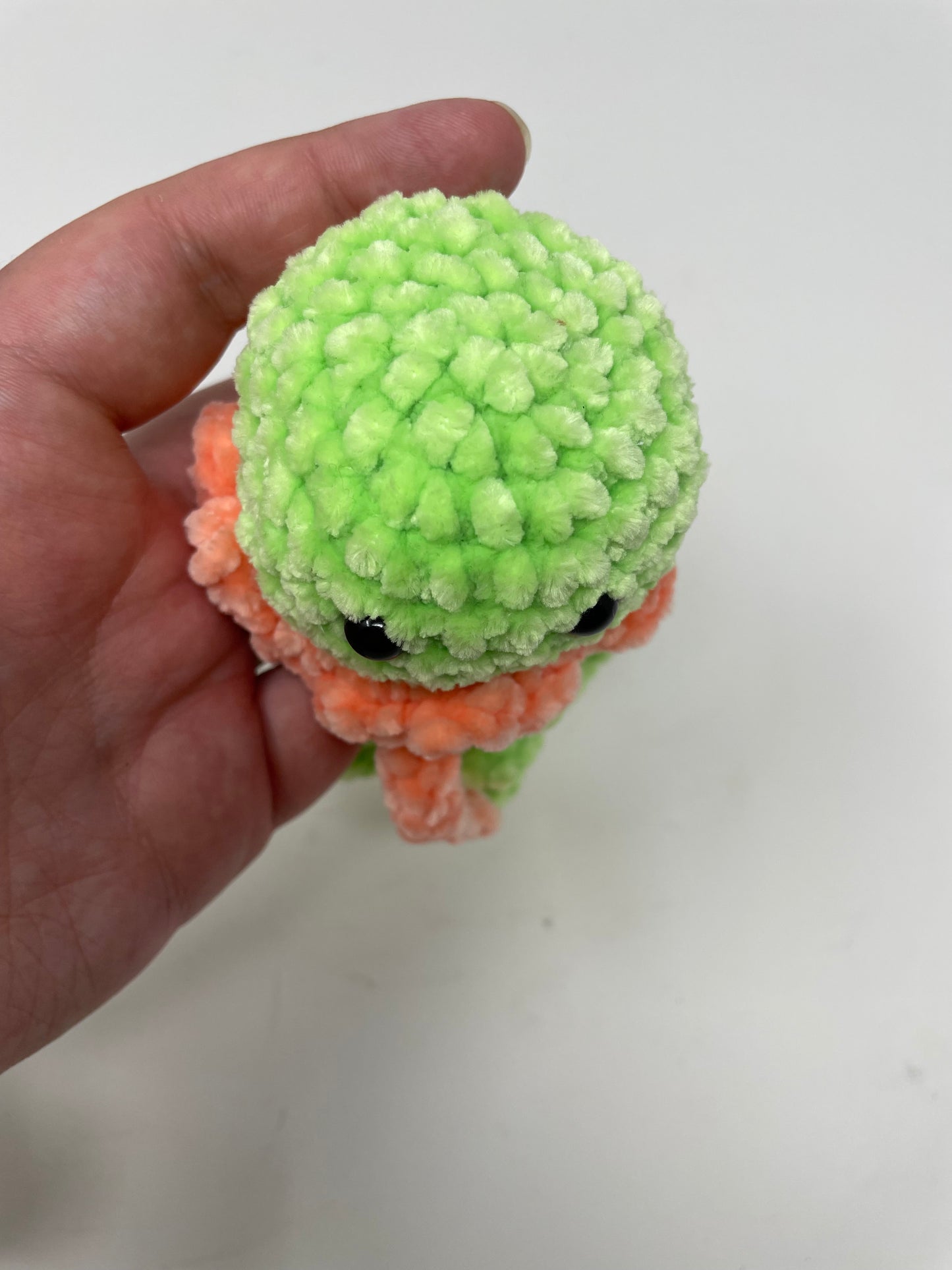 Mini Jellyfish!