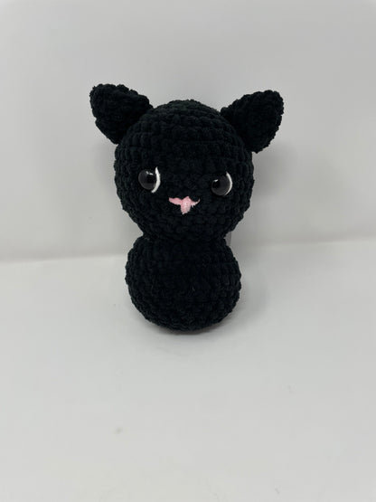Black Cat with Orange Hat